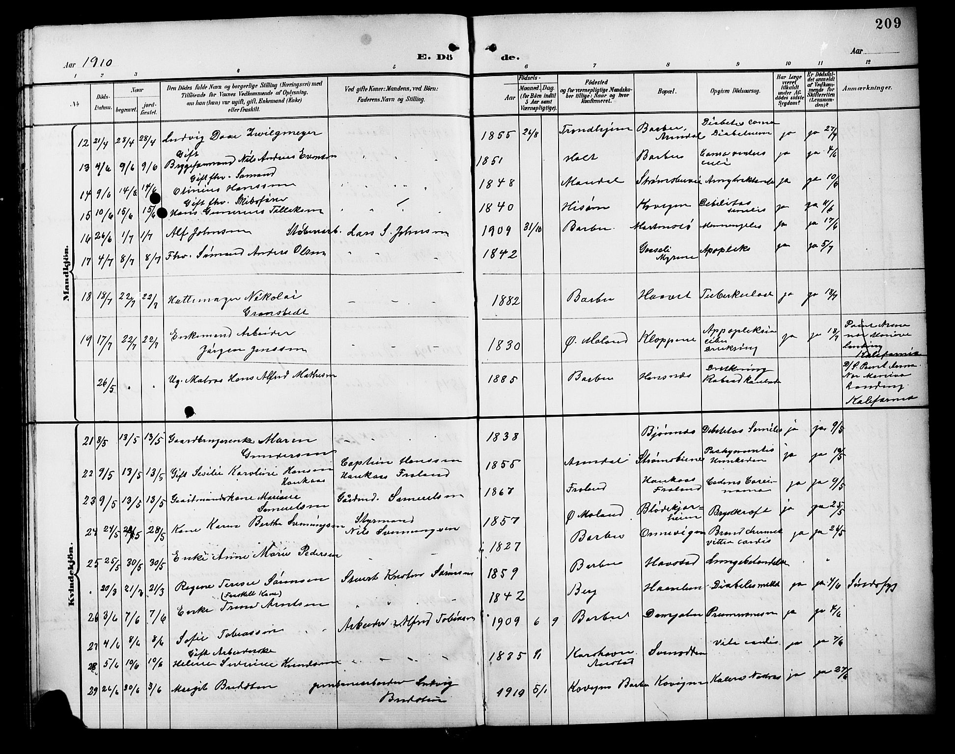 Barbu sokneprestkontor, AV/SAK-1111-0003/F/Fb/L0003: Parish register (copy) no. B 3, 1897-1911, p. 209