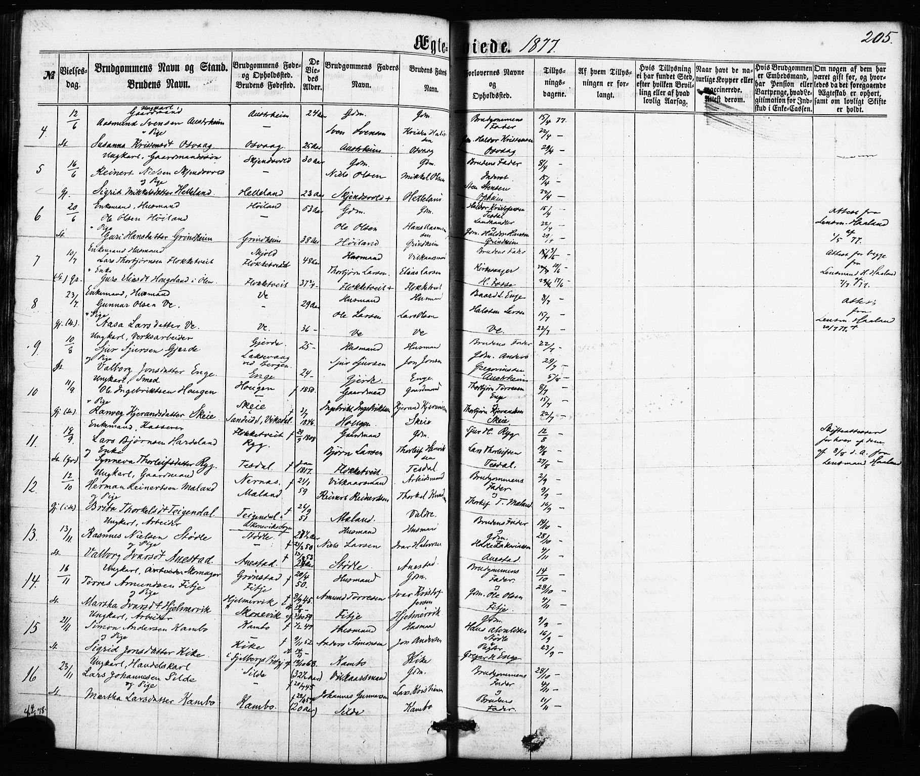 Etne sokneprestembete, SAB/A-75001/H/Haa: Parish register (official) no. A 9, 1862-1878, p. 205