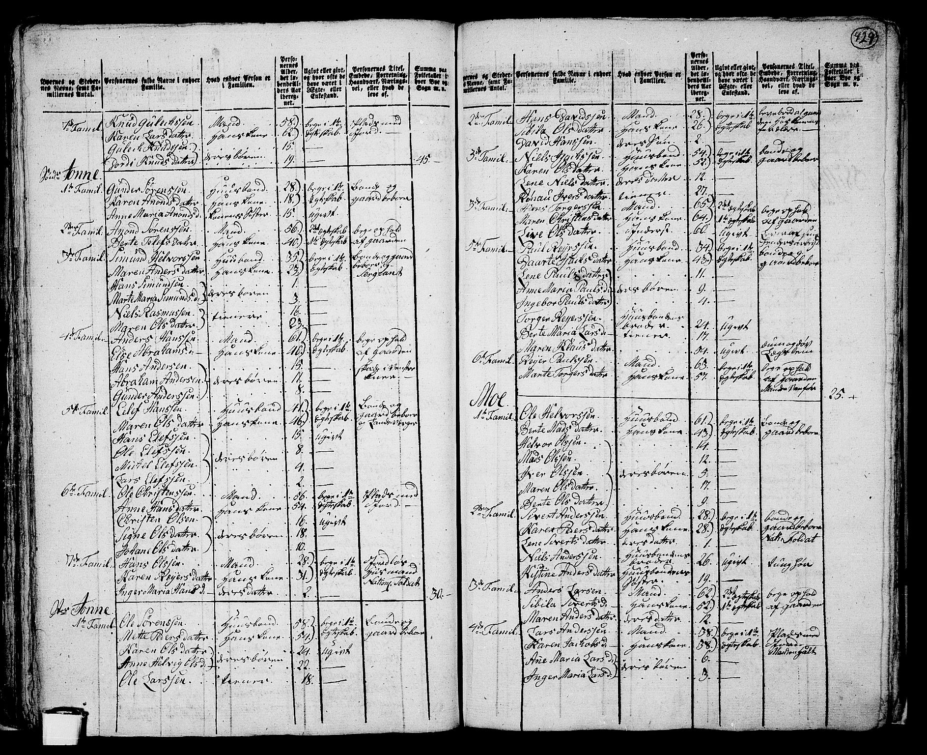 RA, 1801 census for 0727P Hedrum, 1801, p. 428b-429a