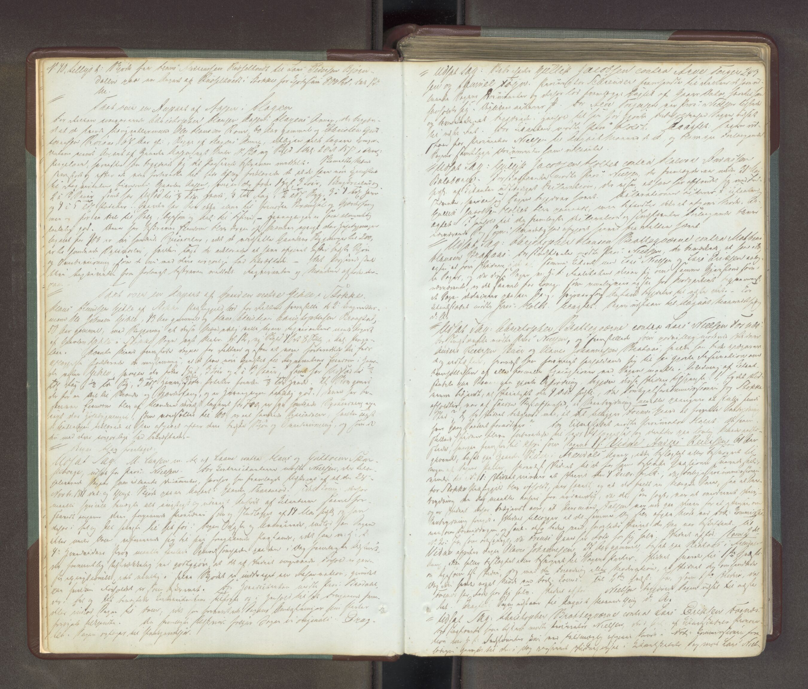 Søndre Jarlsberg sorenskriveri, AV/SAKO-A-129/F/Fa/L0034B: Tingbok, 1850-1856, p. 242b-243a
