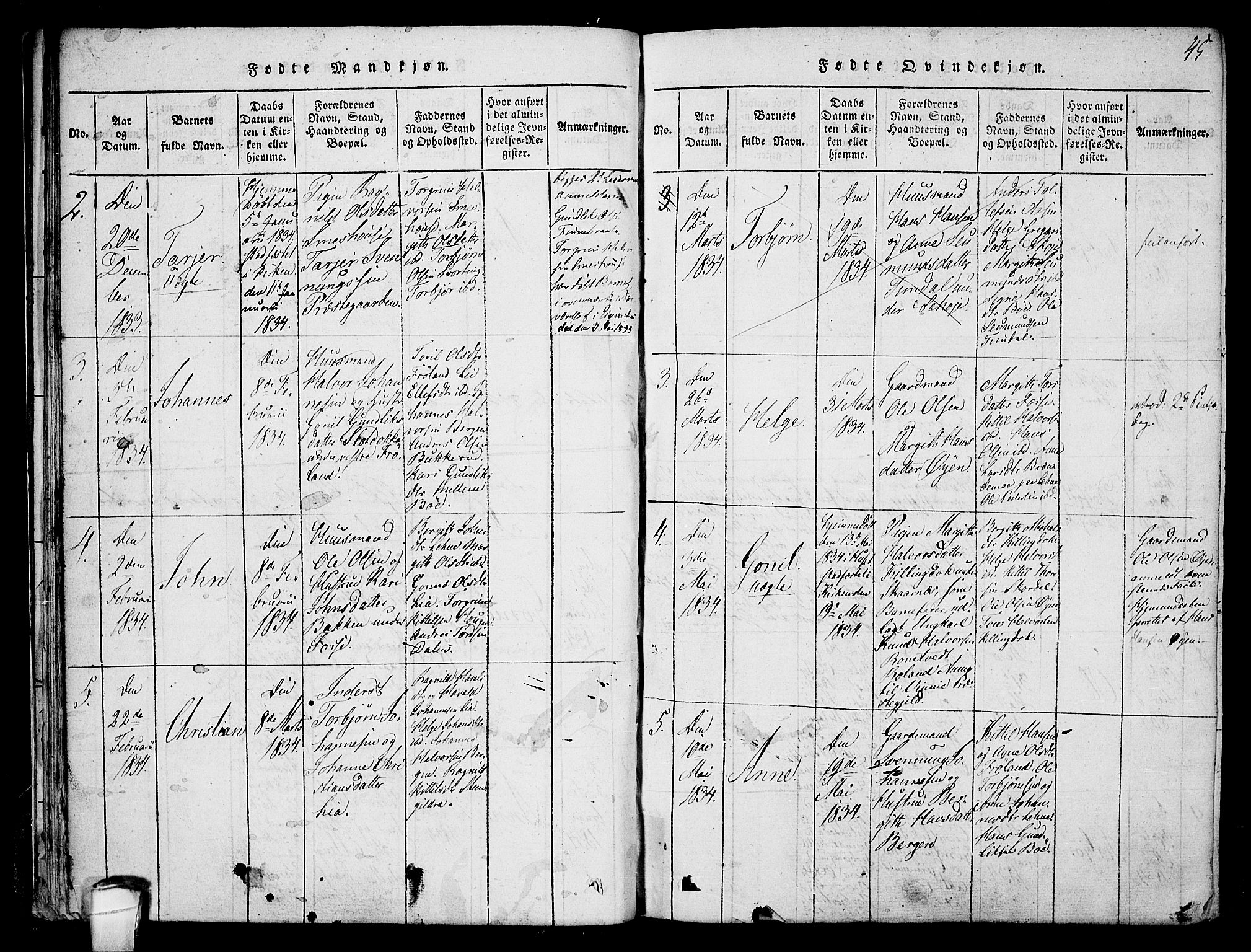 Hjartdal kirkebøker, AV/SAKO-A-270/F/Fb/L0001: Parish register (official) no. II 1, 1815-1843, p. 45