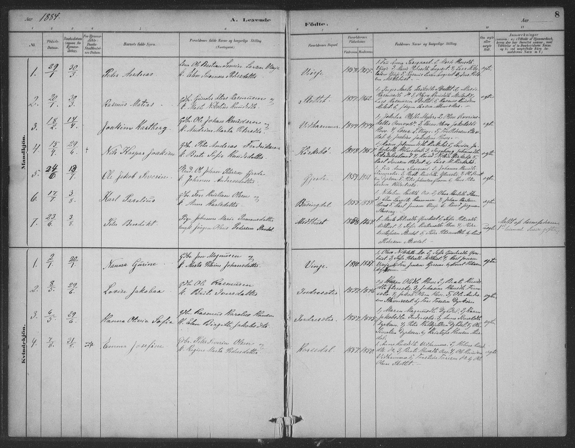 Ministerialprotokoller, klokkerbøker og fødselsregistre - Møre og Romsdal, SAT/A-1454/521/L0299: Parish register (official) no. 521A01, 1882-1907, p. 8