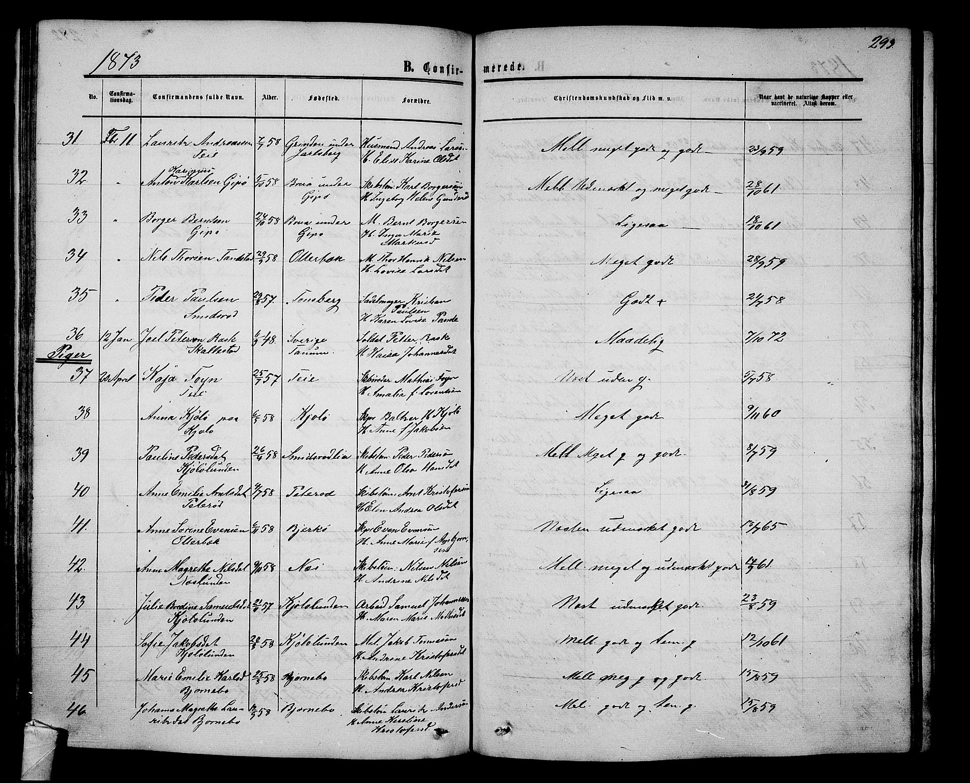 Nøtterøy kirkebøker, AV/SAKO-A-354/G/Ga/L0002: Parish register (copy) no. I 2, 1860-1877, p. 293