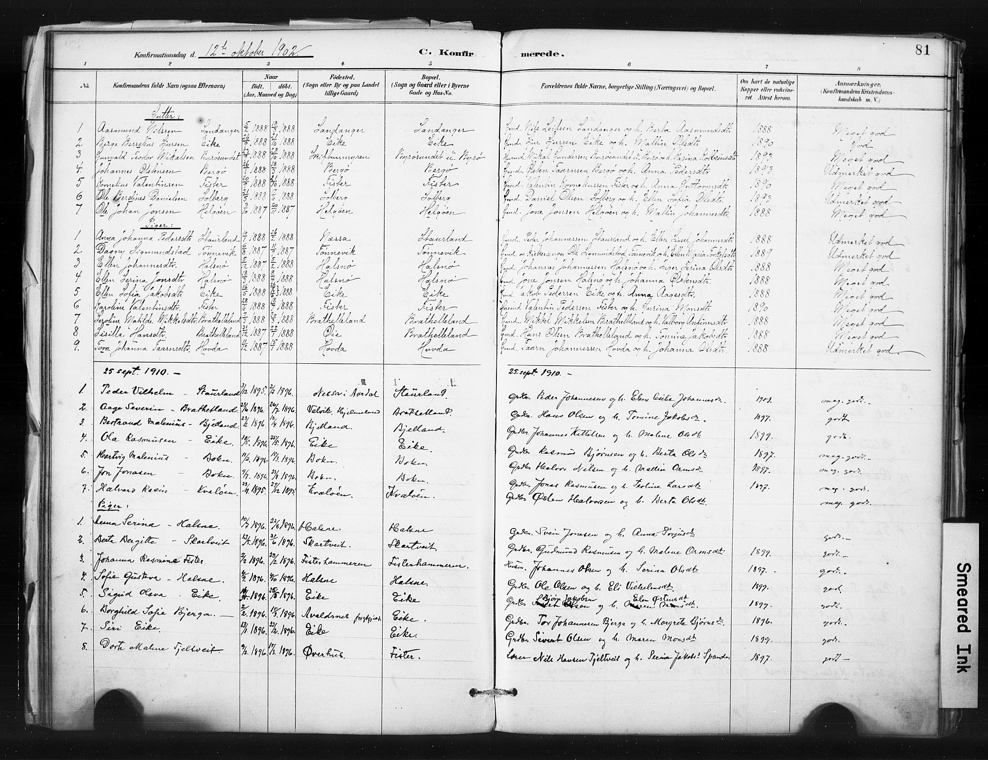 Hjelmeland sokneprestkontor, SAST/A-101843/01/IV/L0015: Parish register (official) no. A 15, 1887-1910, p. 81