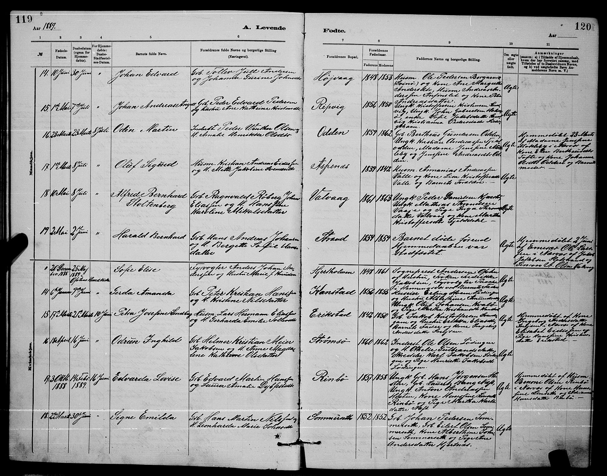 Ministerialprotokoller, klokkerbøker og fødselsregistre - Nordland, AV/SAT-A-1459/872/L1047: Parish register (copy) no. 872C03, 1880-1897, p. 119-120