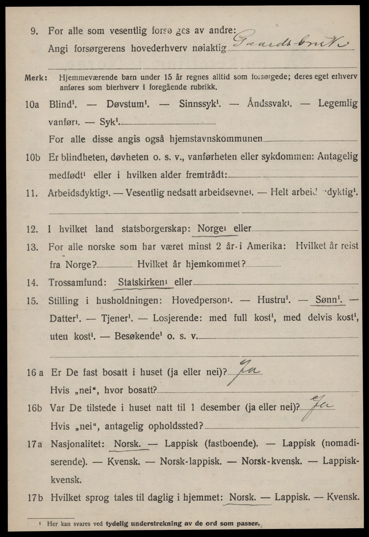 SAT, 1920 census for Røros, 1920, p. 10253