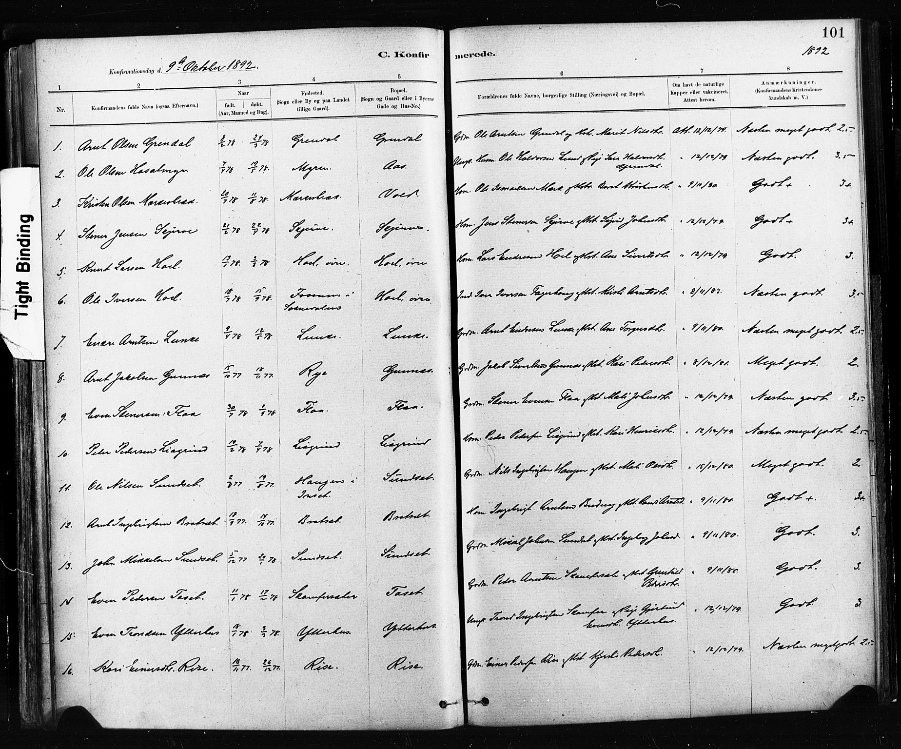 Ministerialprotokoller, klokkerbøker og fødselsregistre - Sør-Trøndelag, AV/SAT-A-1456/674/L0871: Parish register (official) no. 674A03, 1880-1896, p. 101