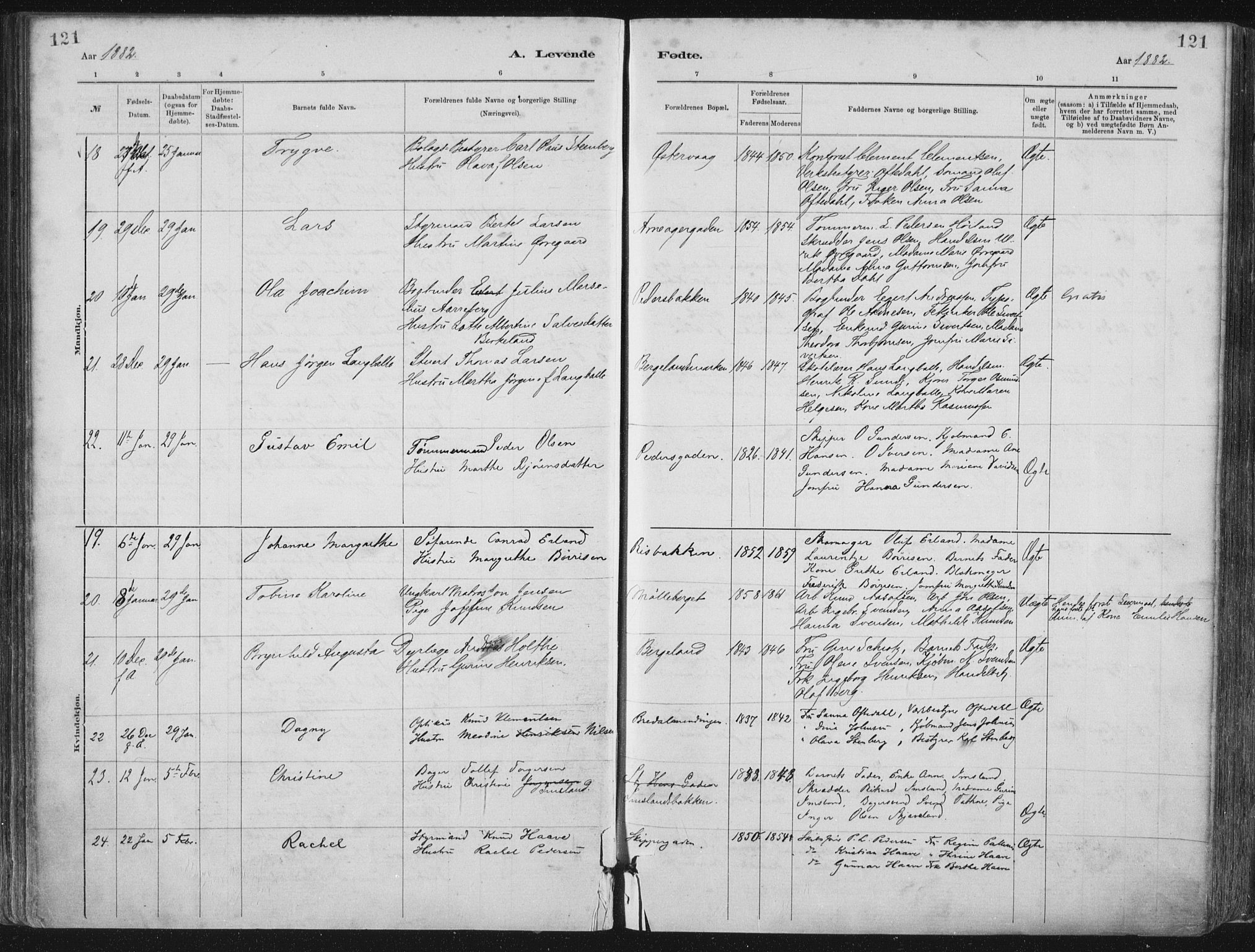 St. Petri sokneprestkontor, AV/SAST-A-101813/001/30/30BA/L0015: Parish register (official) no. A 15, 1879-1888, p. 121