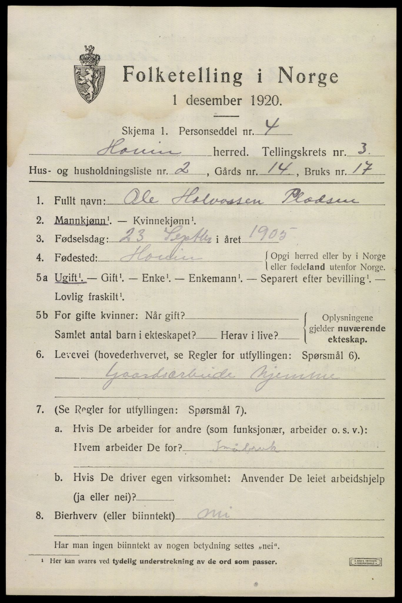 SAKO, 1920 census for Hovin, 1920, p. 991