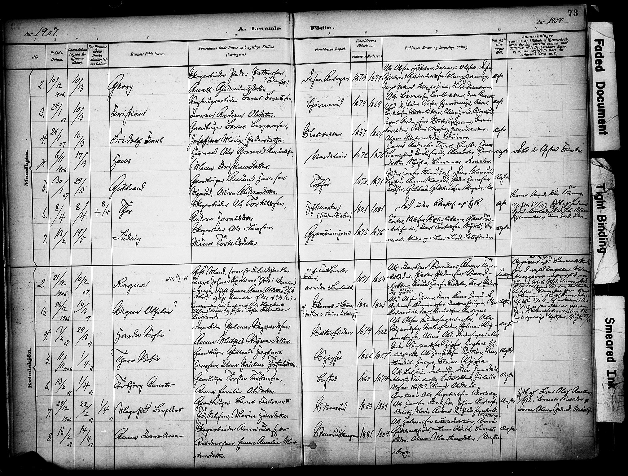 Sør-Odal prestekontor, AV/SAH-PREST-030/H/Ha/Haa/L0008: Parish register (official) no. 8, 1886-1922, p. 73