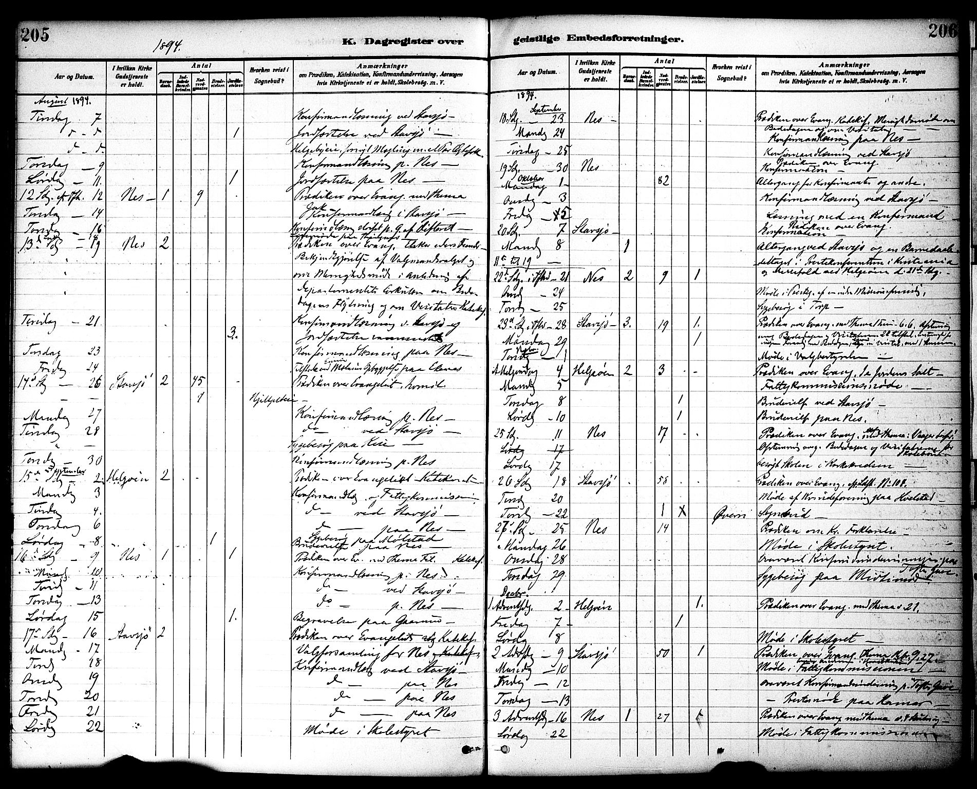 Nes prestekontor, Hedmark, AV/SAH-PREST-020/K/Ka/L0010: Parish register (official) no. 10, 1887-1905, p. 205-206