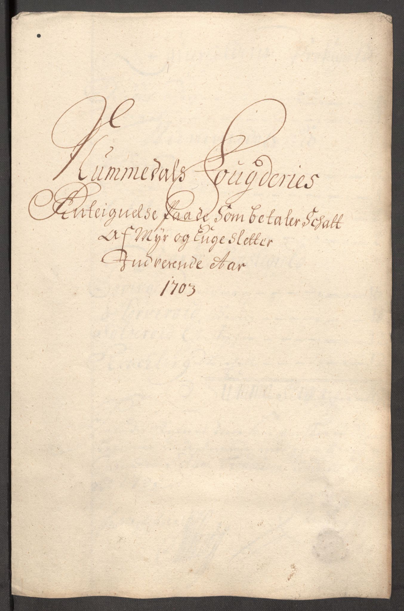 Rentekammeret inntil 1814, Reviderte regnskaper, Fogderegnskap, AV/RA-EA-4092/R64/L4428: Fogderegnskap Namdal, 1703-1704, p. 84