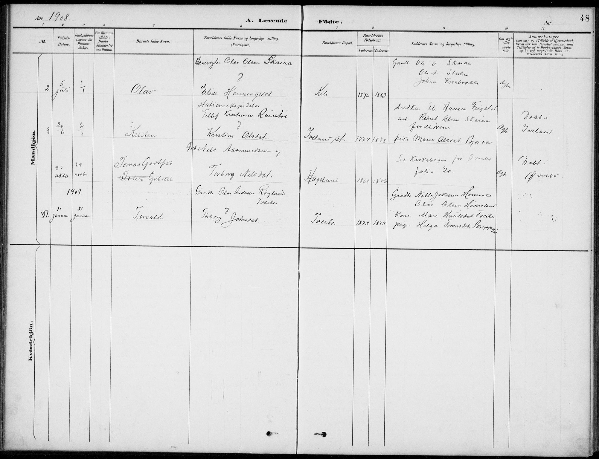 Vennesla sokneprestkontor, AV/SAK-1111-0045/Fb/Fba/L0003: Parish register (copy) no. B 3, 1890-1919, p. 48