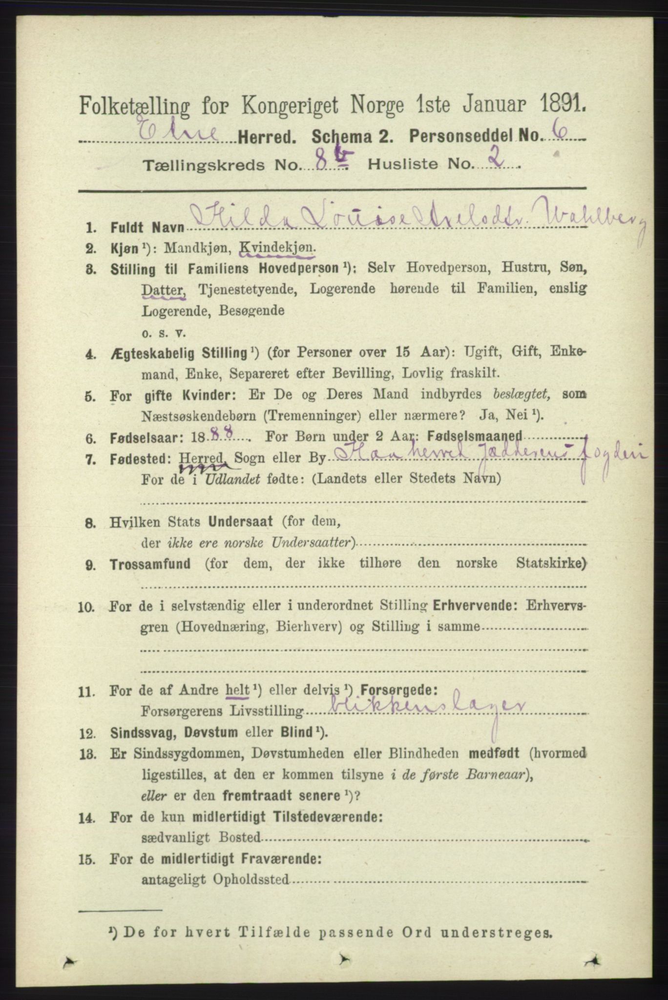 RA, 1891 census for 1211 Etne, 1891, p. 1625