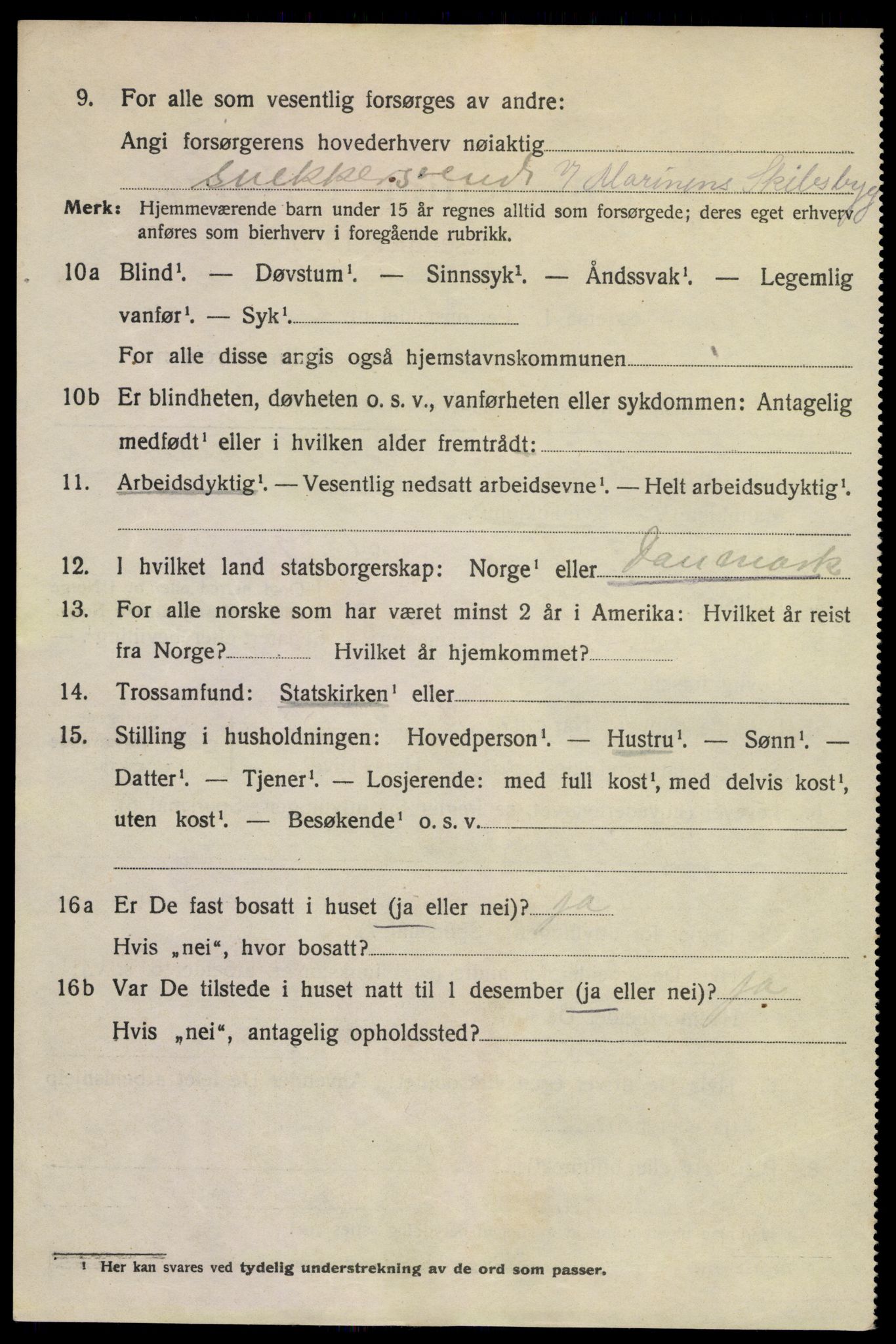 SAKO, 1920 census for Horten, 1920, p. 13452