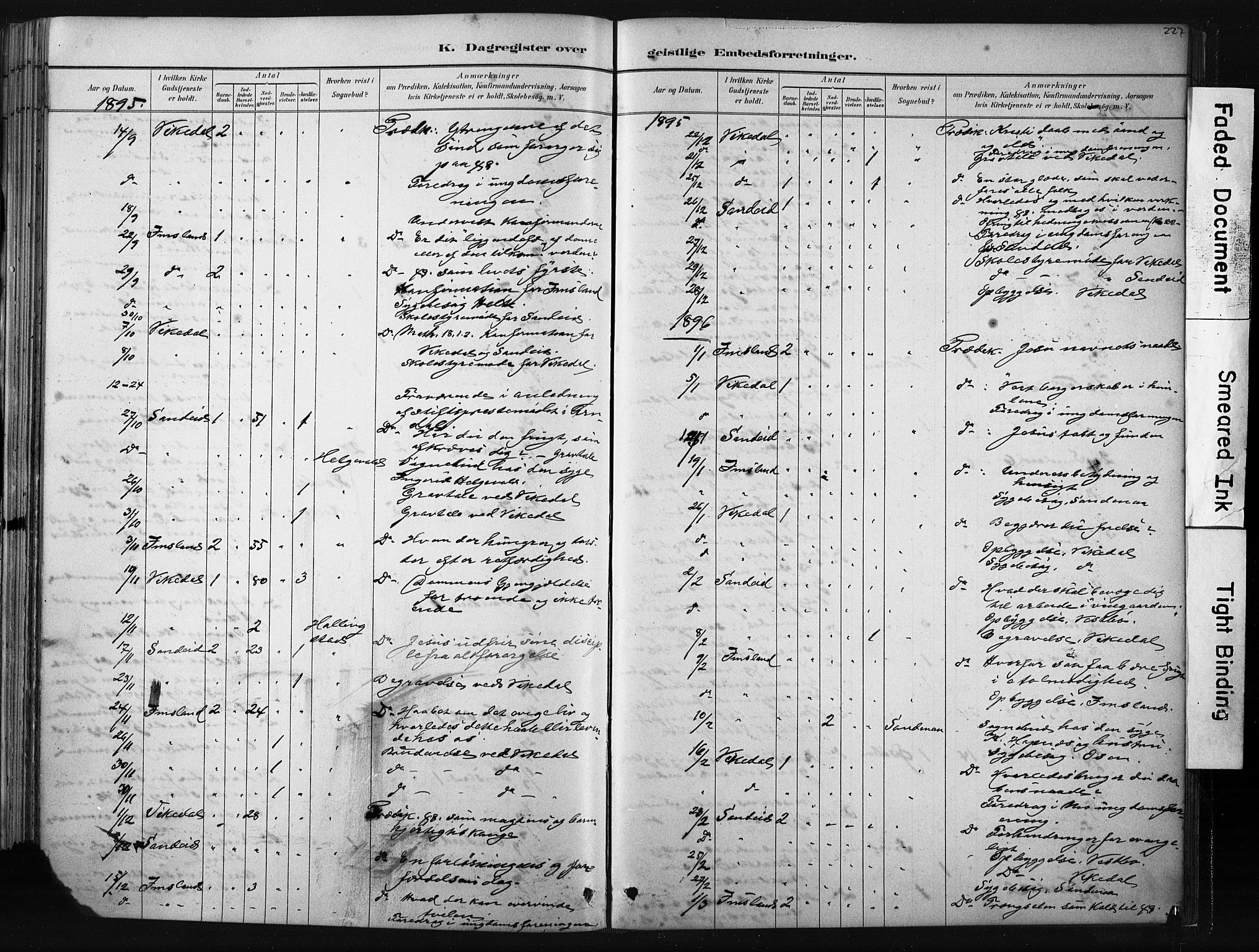 Vikedal sokneprestkontor, AV/SAST-A-101840/01/IV: Parish register (official) no. A 10, 1884-1907, p. 227