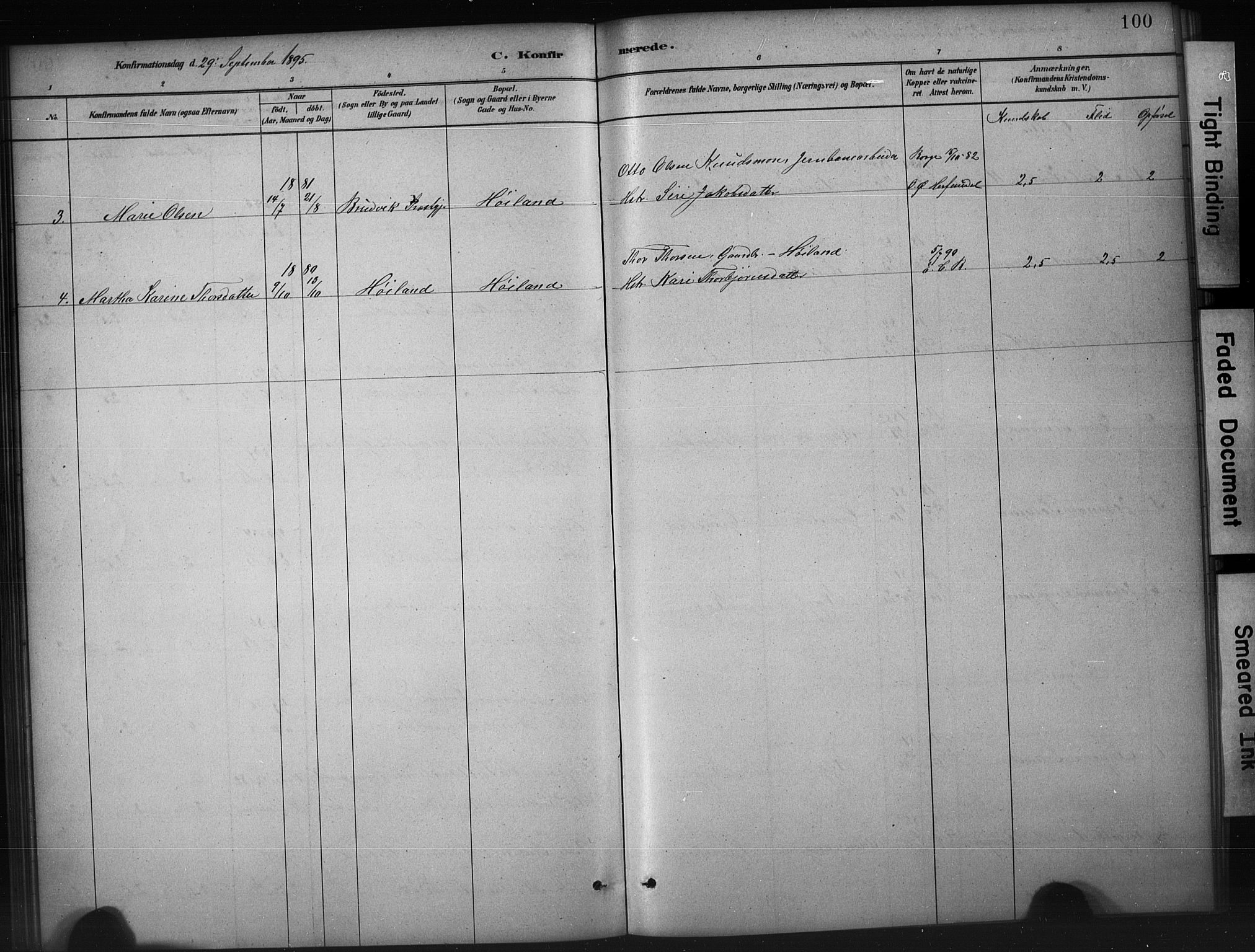 Etne sokneprestembete, SAB/A-75001/H/Hab: Parish register (copy) no. A 5, 1879-1896, p. 100