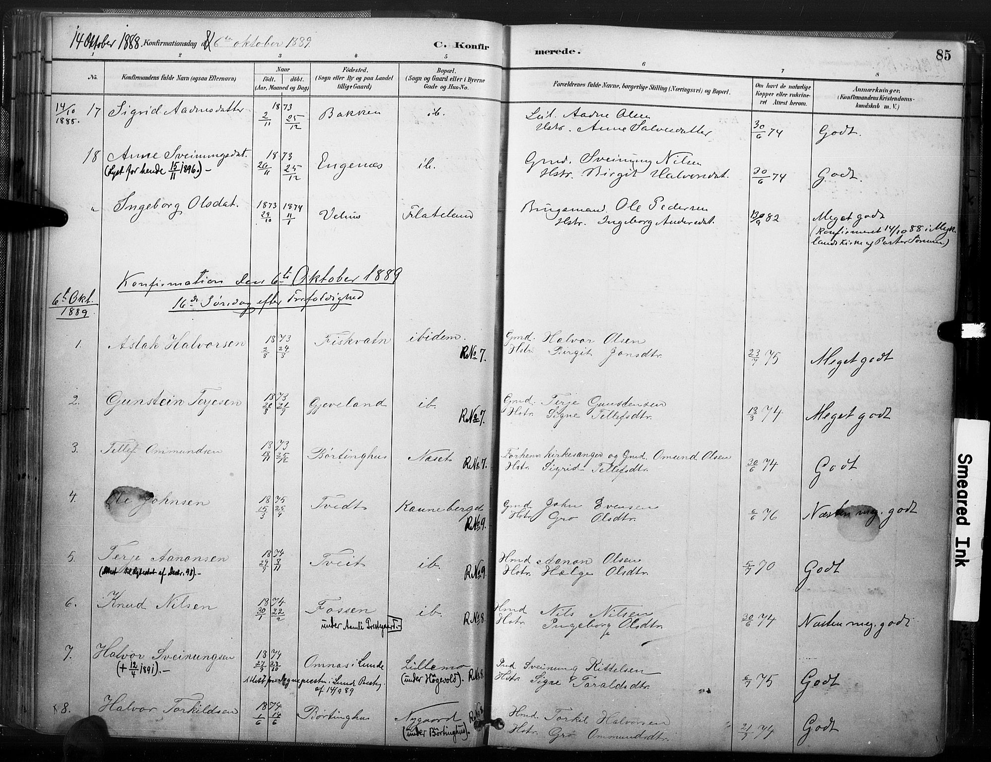 Åmli sokneprestkontor, SAK/1111-0050/F/Fa/Fac/L0010: Parish register (official) no. A 10 /1, 1885-1899, p. 85