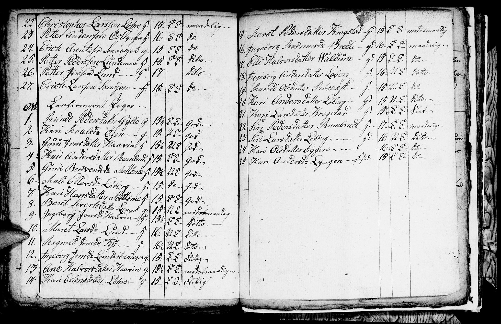 Ministerialprotokoller, klokkerbøker og fødselsregistre - Sør-Trøndelag, AV/SAT-A-1456/692/L1107: Parish register (copy) no. 692C02, 1809-1824