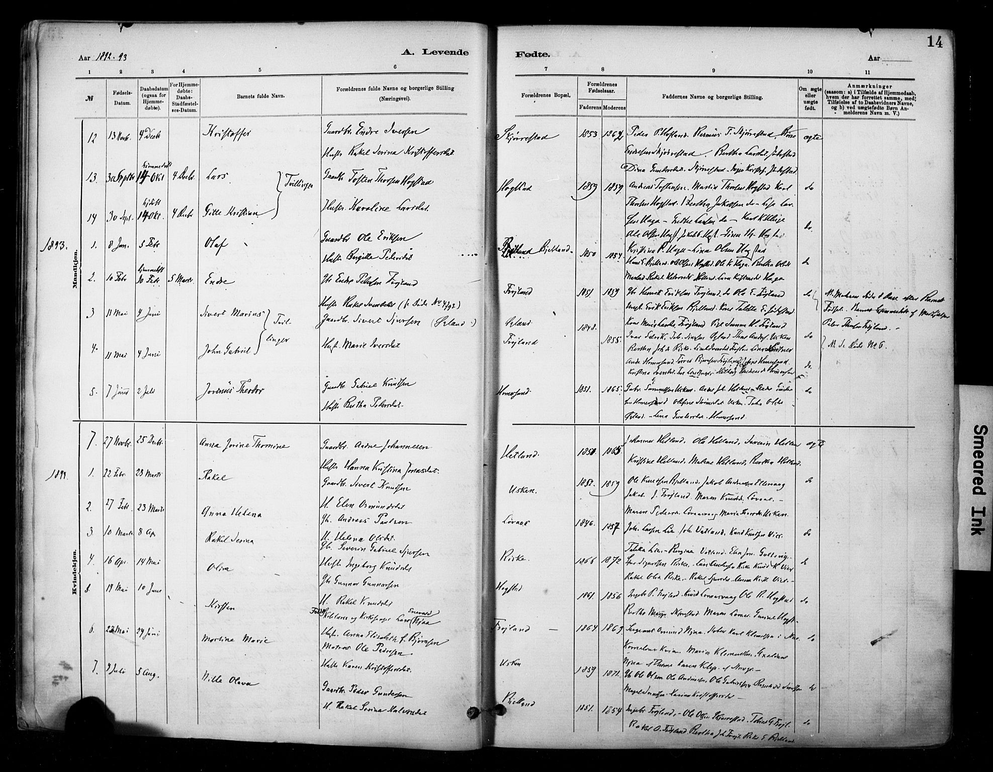 Hetland sokneprestkontor, SAST/A-101826/30/30BA/L0010: Parish register (official) no. A 10, 1882-1925, p. 14