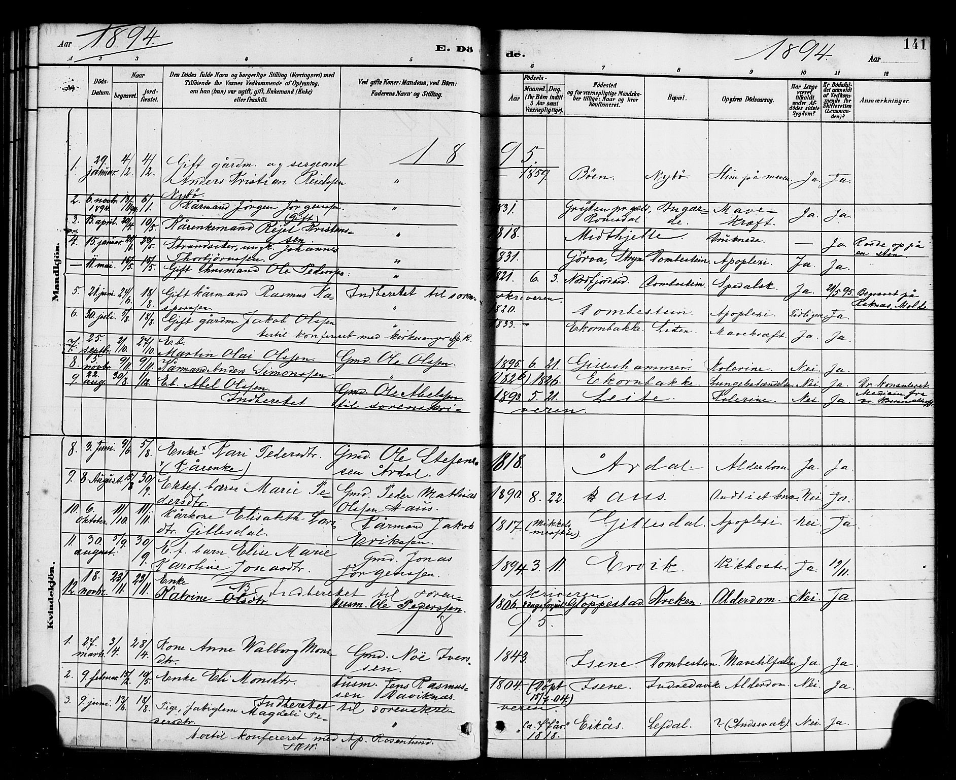 Davik sokneprestembete, AV/SAB-A-79701/H/Haa/Haab/L0001: Parish register (official) no. B 1, 1882-1900, p. 141