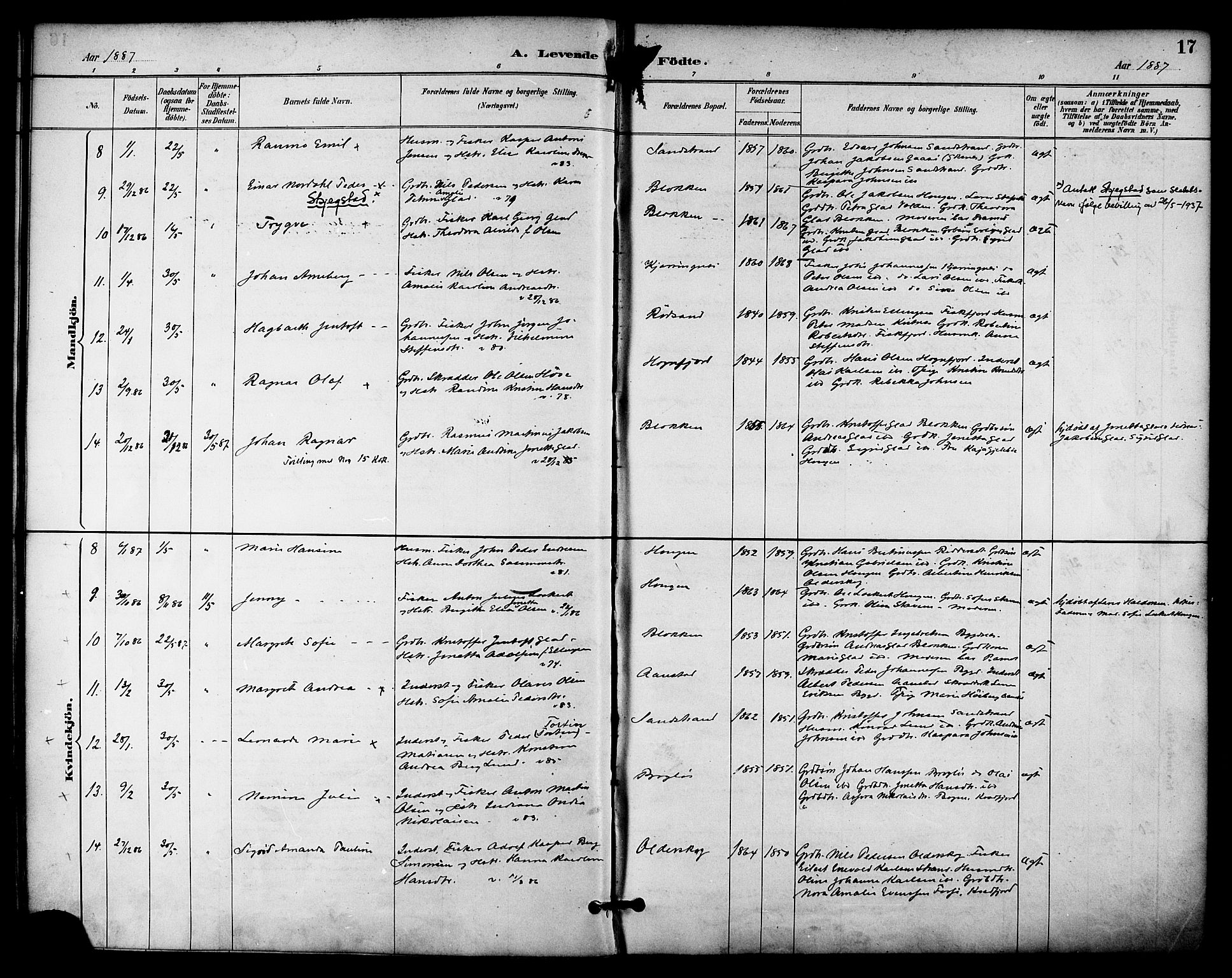 Ministerialprotokoller, klokkerbøker og fødselsregistre - Nordland, AV/SAT-A-1459/895/L1371: Parish register (official) no. 895A06, 1885-1894, p. 17