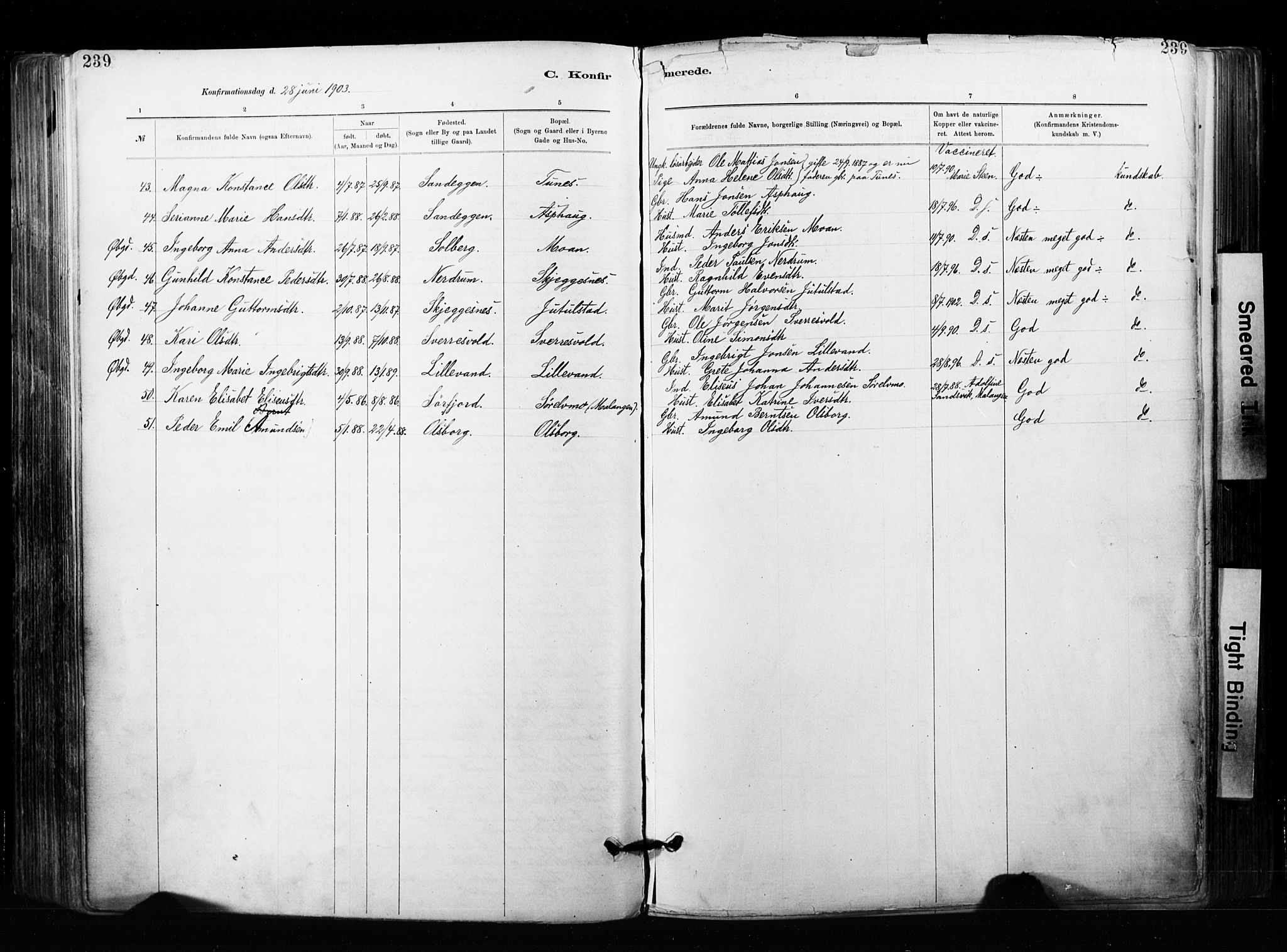 Målselv sokneprestembete, SATØ/S-1311/G/Ga/Gaa/L0007kirke: Parish register (official) no. 7, 1884-1903, p. 239
