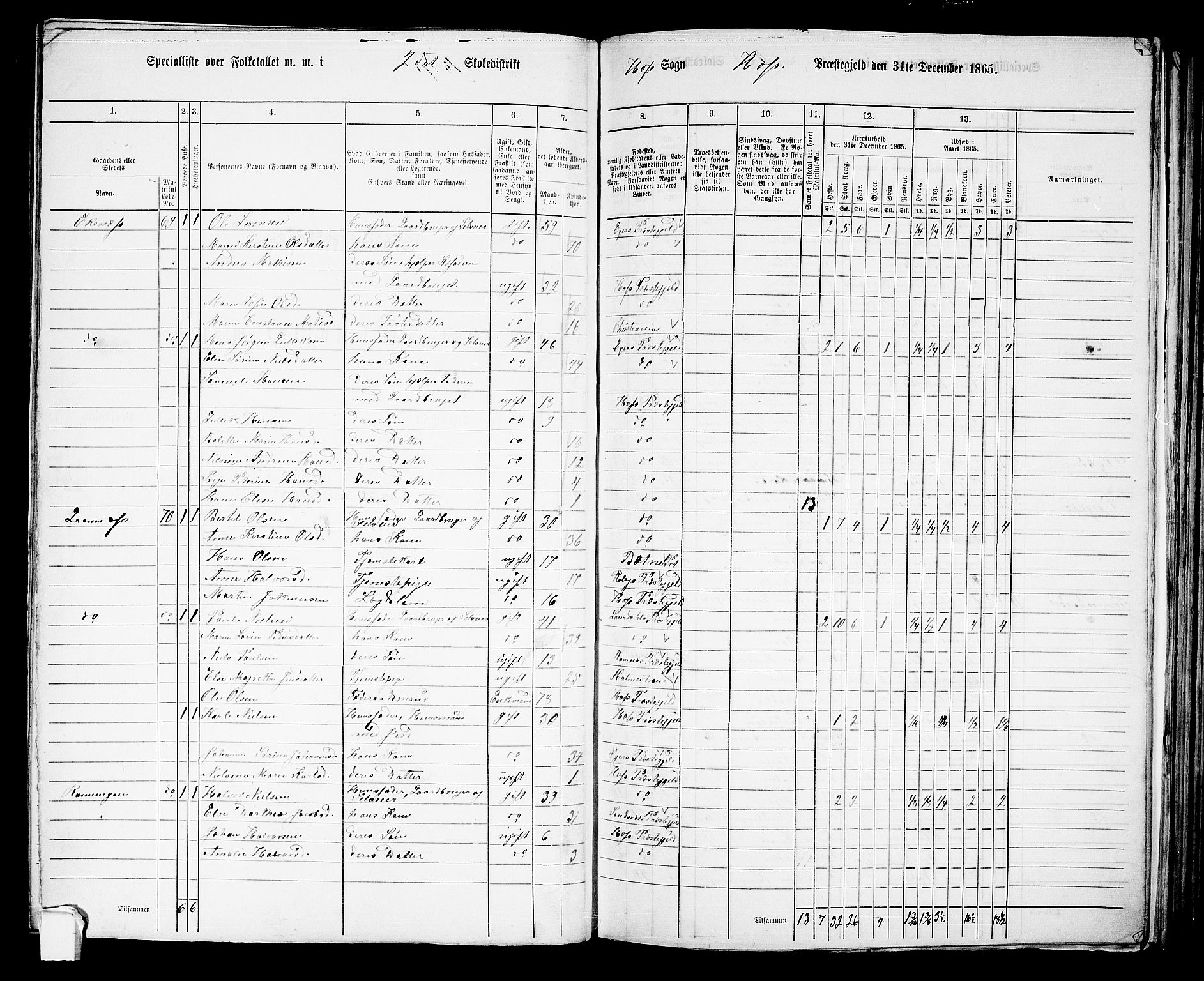 RA, 1865 census for Hof, 1865, p. 99