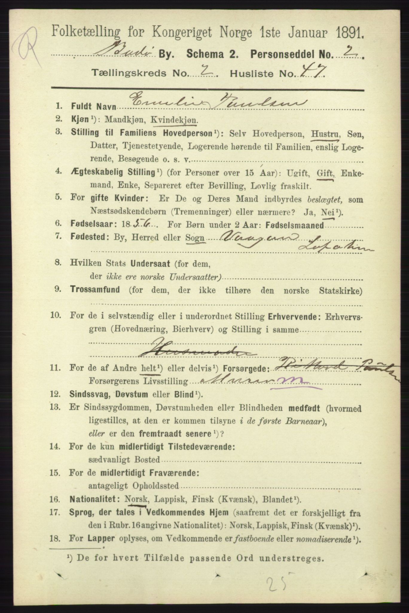 RA, 1891 census for 1804 Bodø, 1891, p. 1596