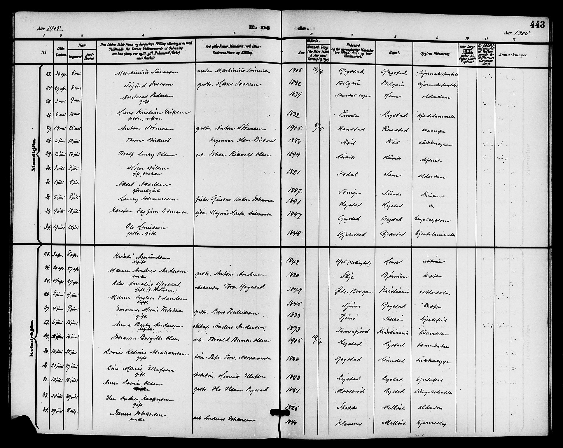 Sandar kirkebøker, AV/SAKO-A-243/G/Ga/L0002: Parish register (copy) no. 2, 1900-1915, p. 443