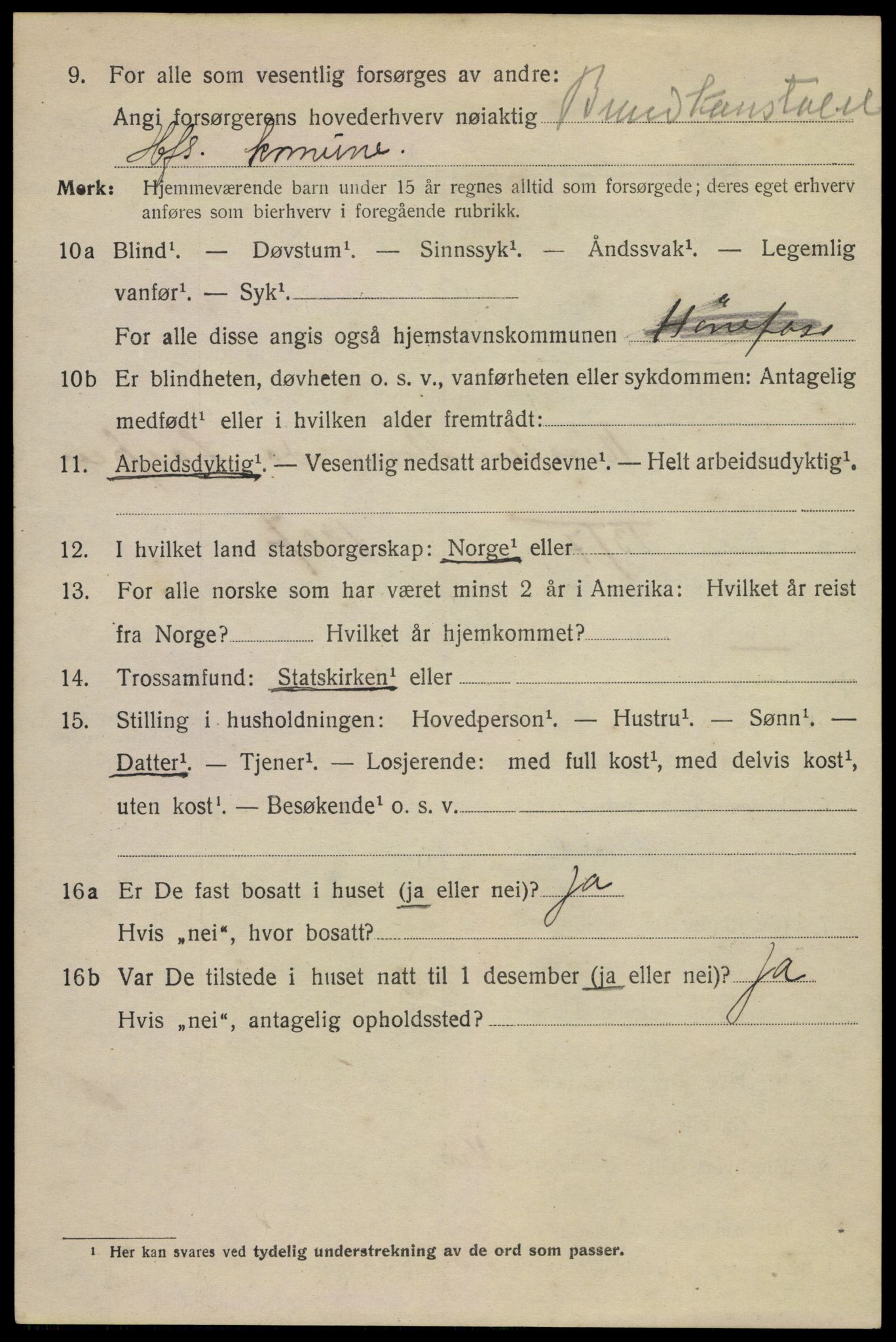 SAKO, 1920 census for Hønefoss, 1920, p. 6961