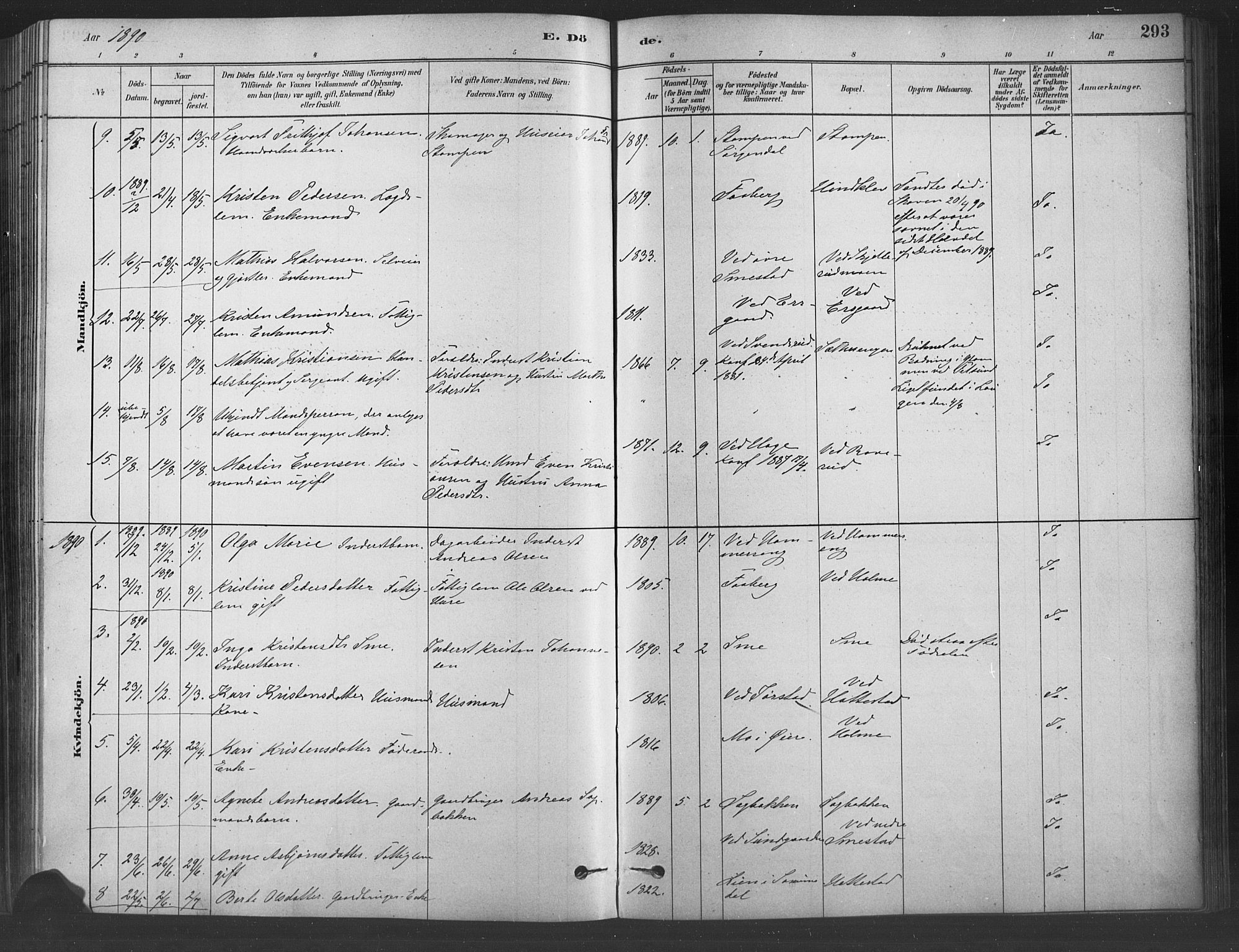 Fåberg prestekontor, SAH/PREST-086/H/Ha/Haa/L0009: Parish register (official) no. 9, 1879-1898, p. 293