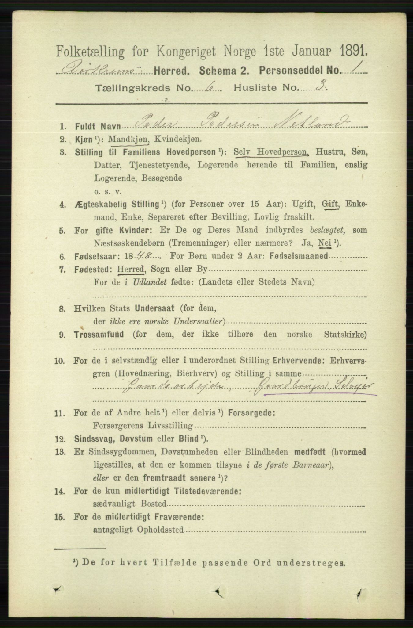 RA, 1891 census for 1114 Bjerkreim, 1891, p. 2074