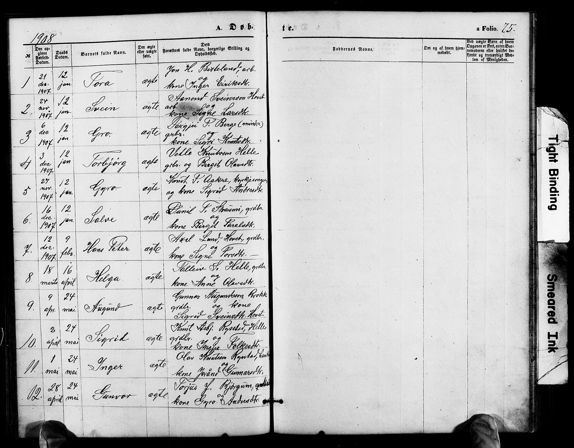 Valle sokneprestkontor, AV/SAK-1111-0044/F/Fb/Fbb/L0002: Parish register (copy) no. B 2, 1875-1921, p. 75