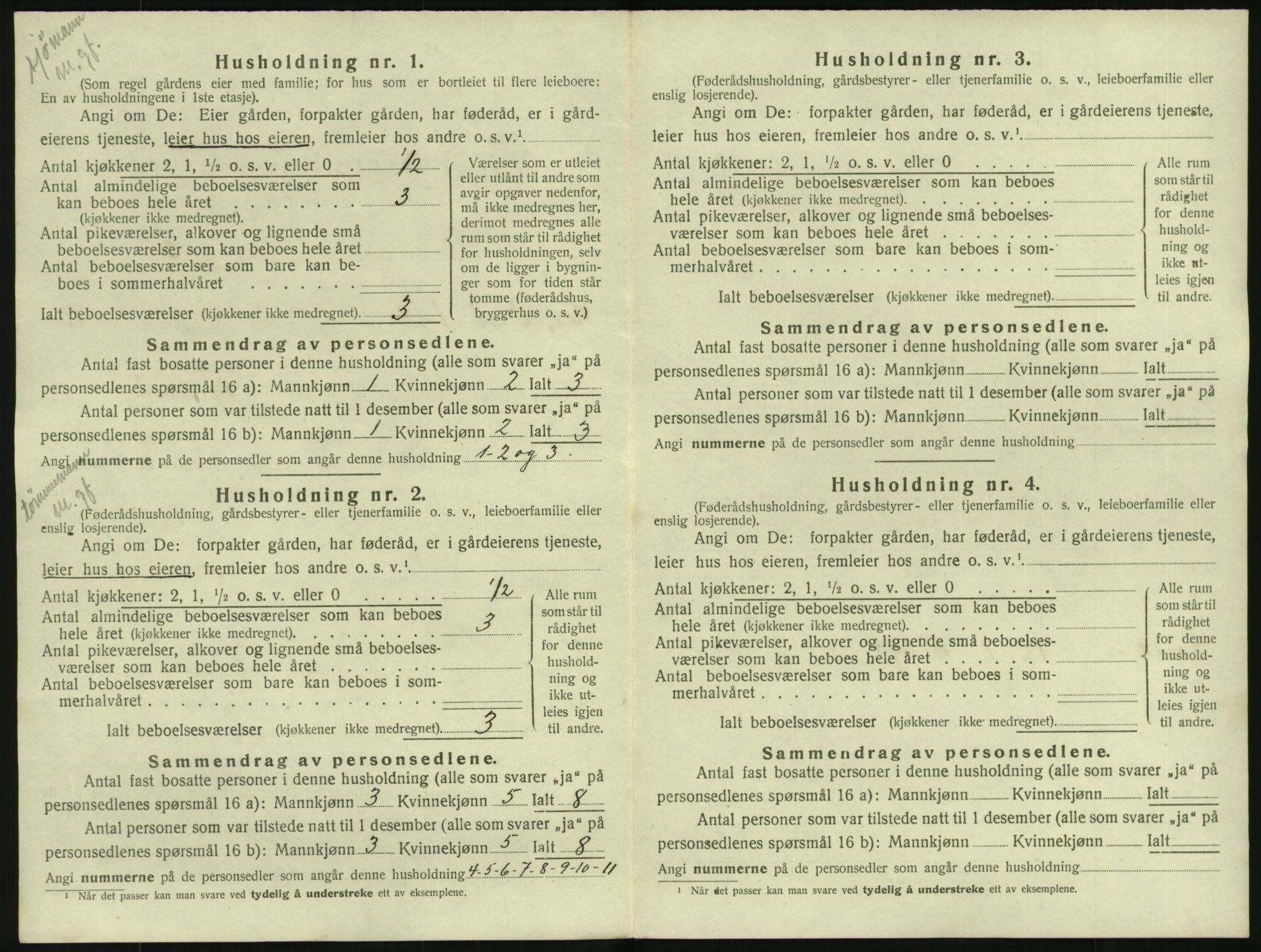 SAK, 1920 census for Nes (V-A), 1920, p. 65