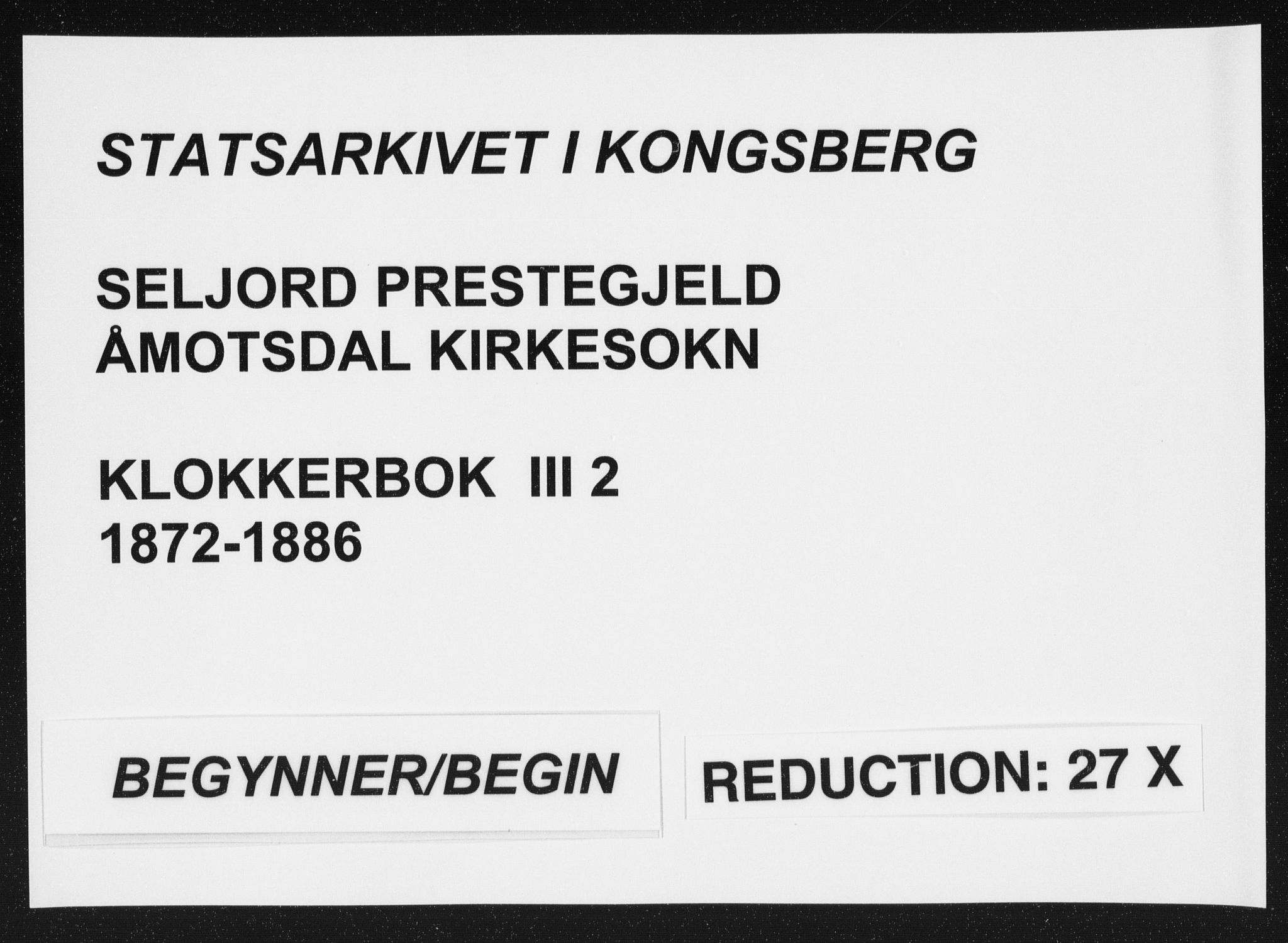 Seljord kirkebøker, AV/SAKO-A-20/G/Gc/L0002: Parish register (copy) no. III 2, 1872-1886