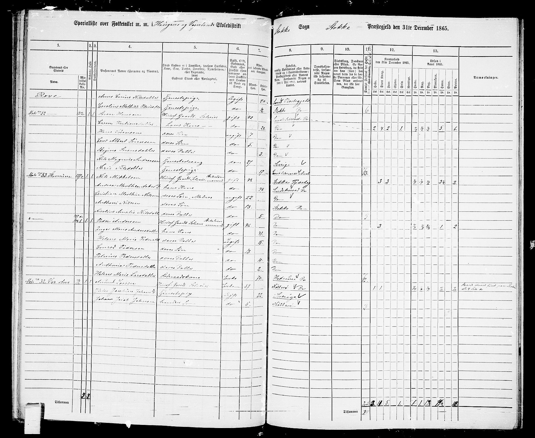 RA, 1865 census for Stokke, 1865, p. 104