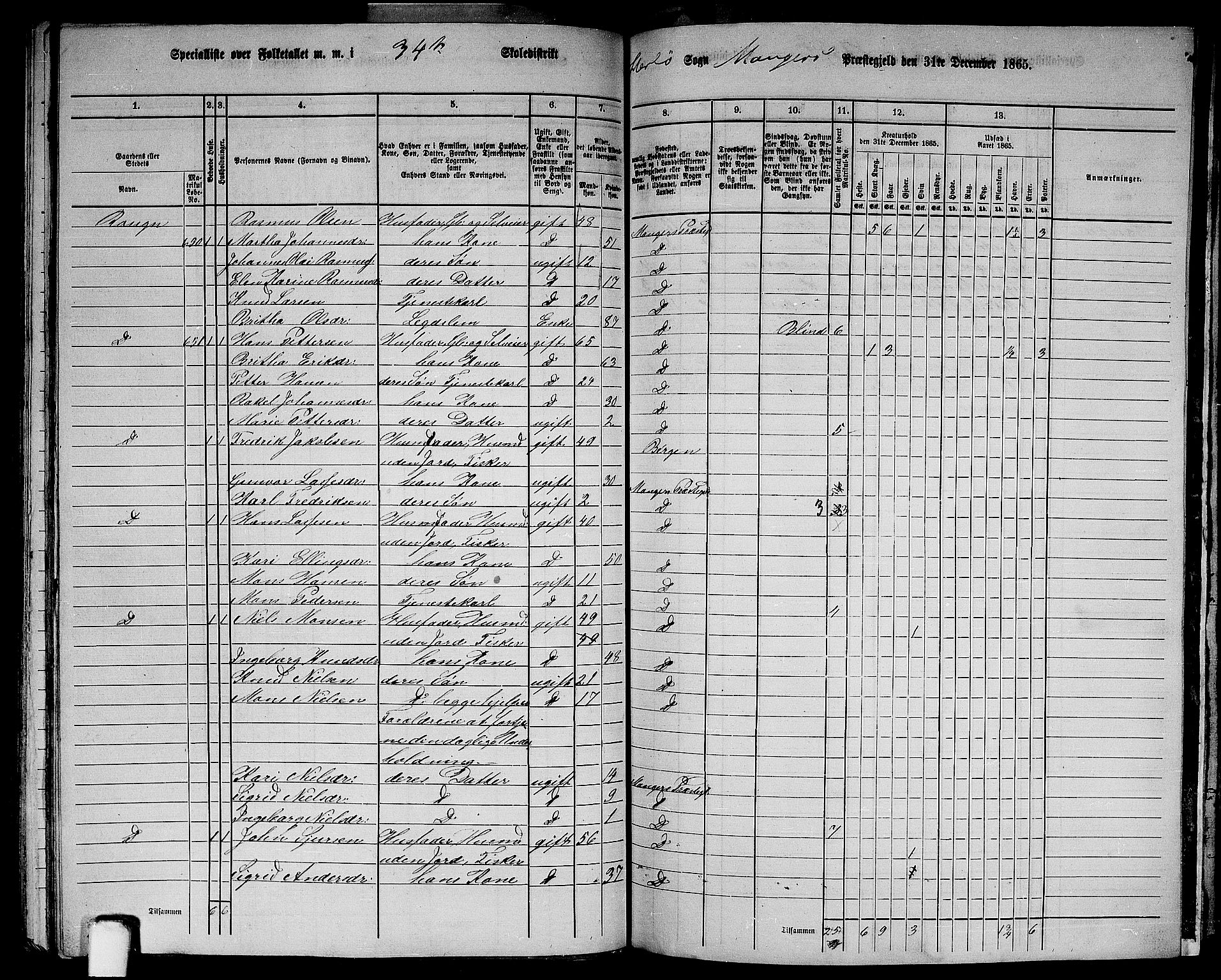 RA, 1865 census for Manger, 1865, p. 185