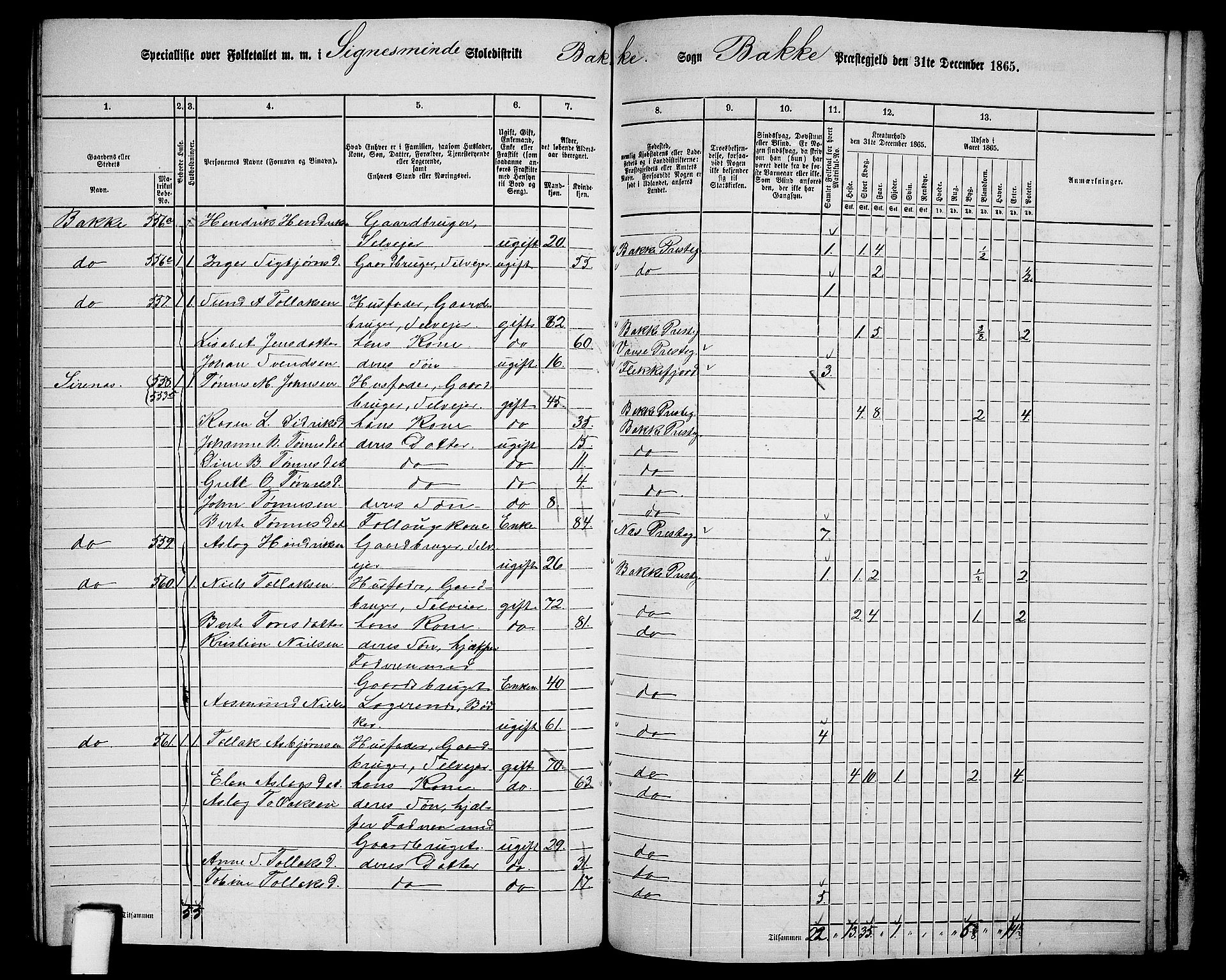 RA, 1865 census for Bakke, 1865, p. 101