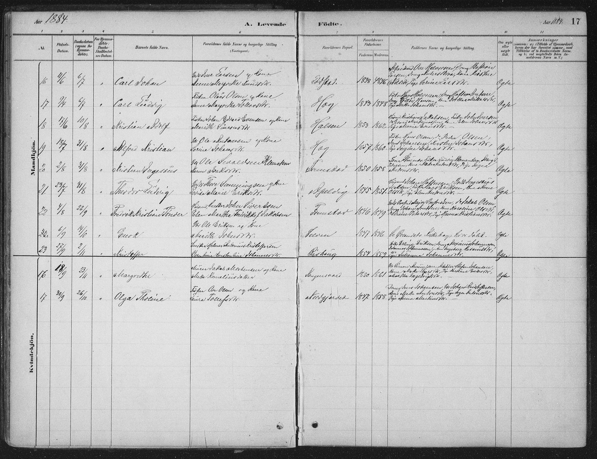 Ministerialprotokoller, klokkerbøker og fødselsregistre - Sør-Trøndelag, AV/SAT-A-1456/662/L0755: Parish register (official) no. 662A01, 1879-1905, p. 17