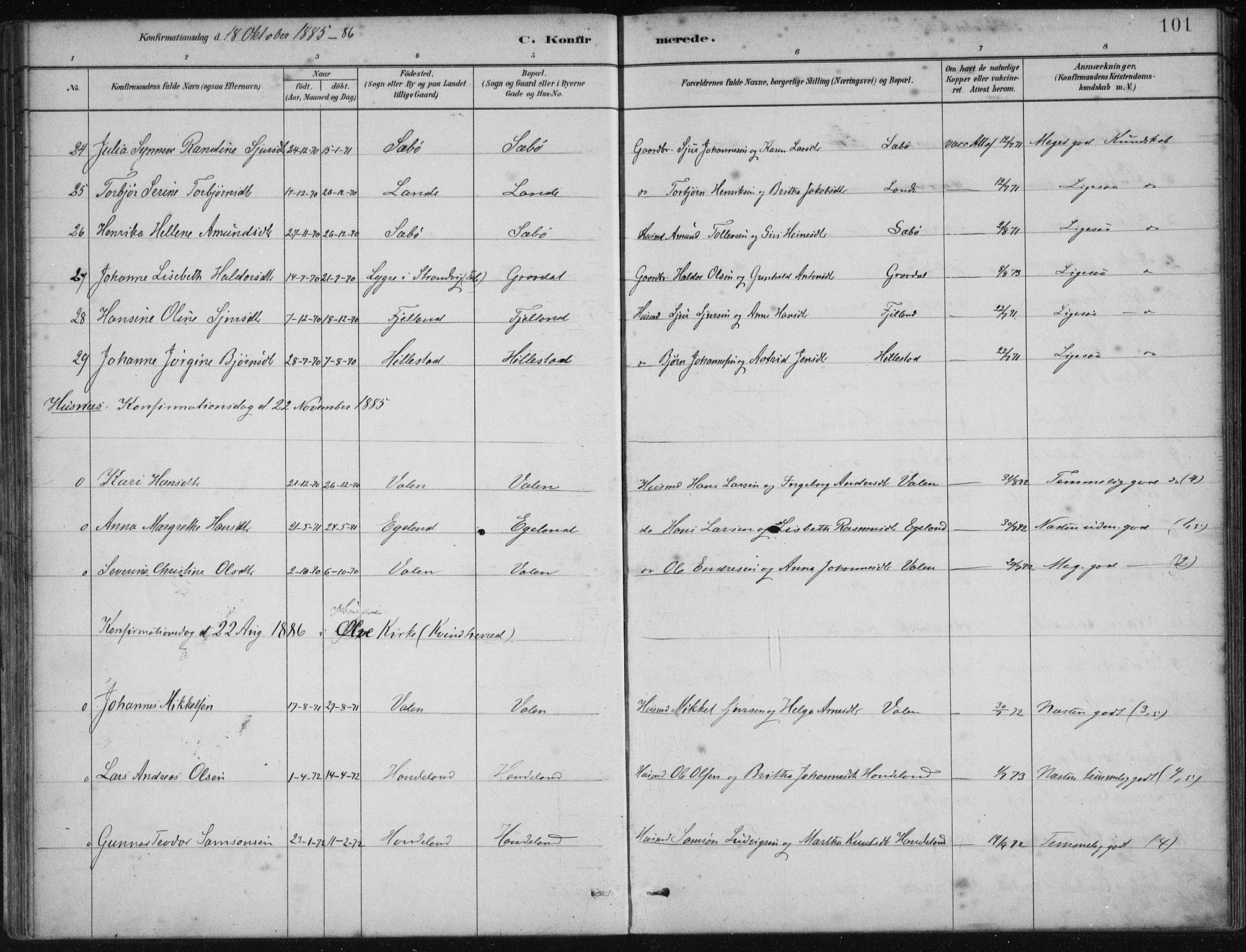 Fjelberg sokneprestembete, AV/SAB-A-75201/H/Haa: Parish register (official) no. C  1, 1879-1918, p. 101