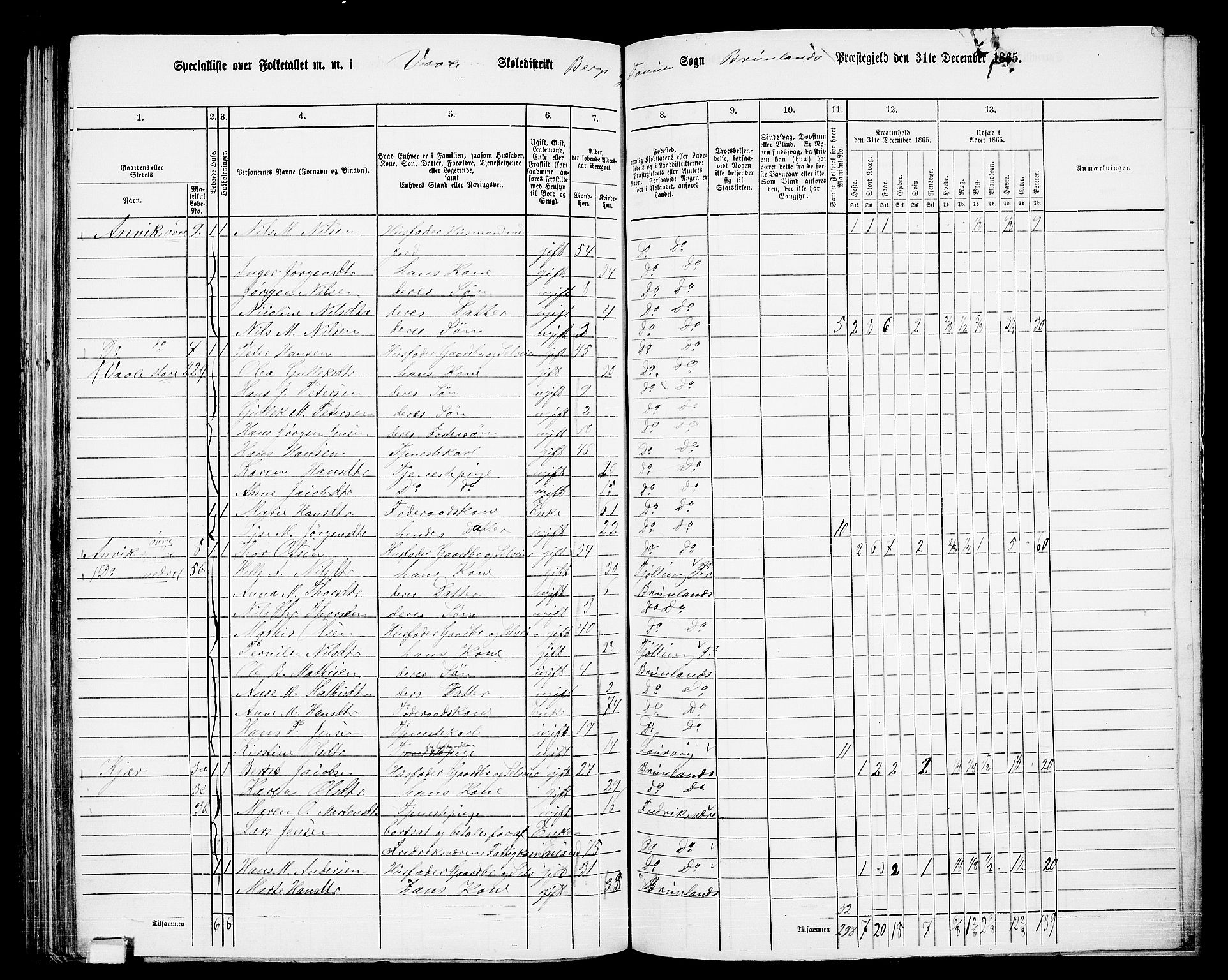 RA, 1865 census for Brunlanes, 1865, p. 125