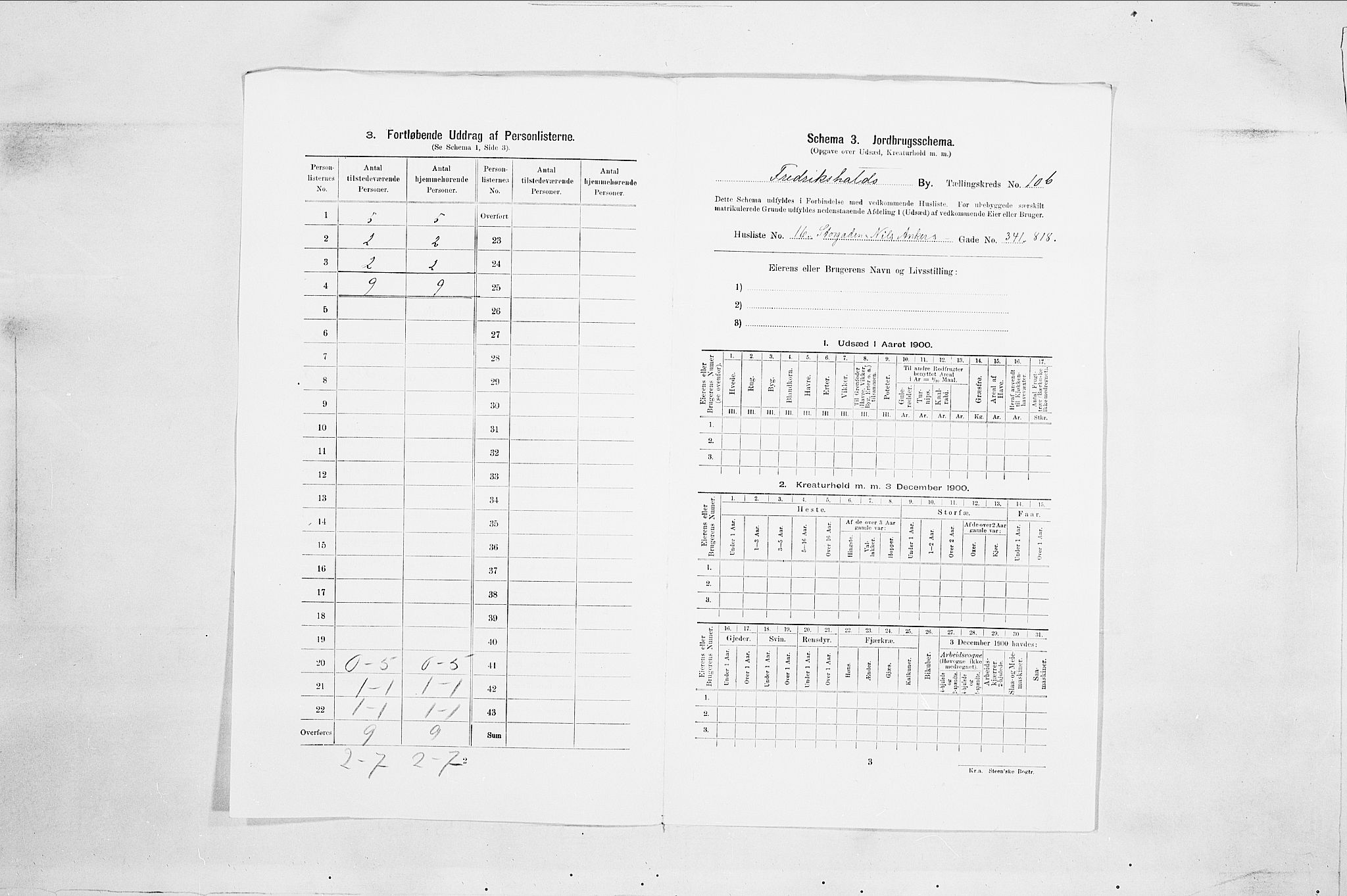 SAO, 1900 census for Fredrikshald, 1900