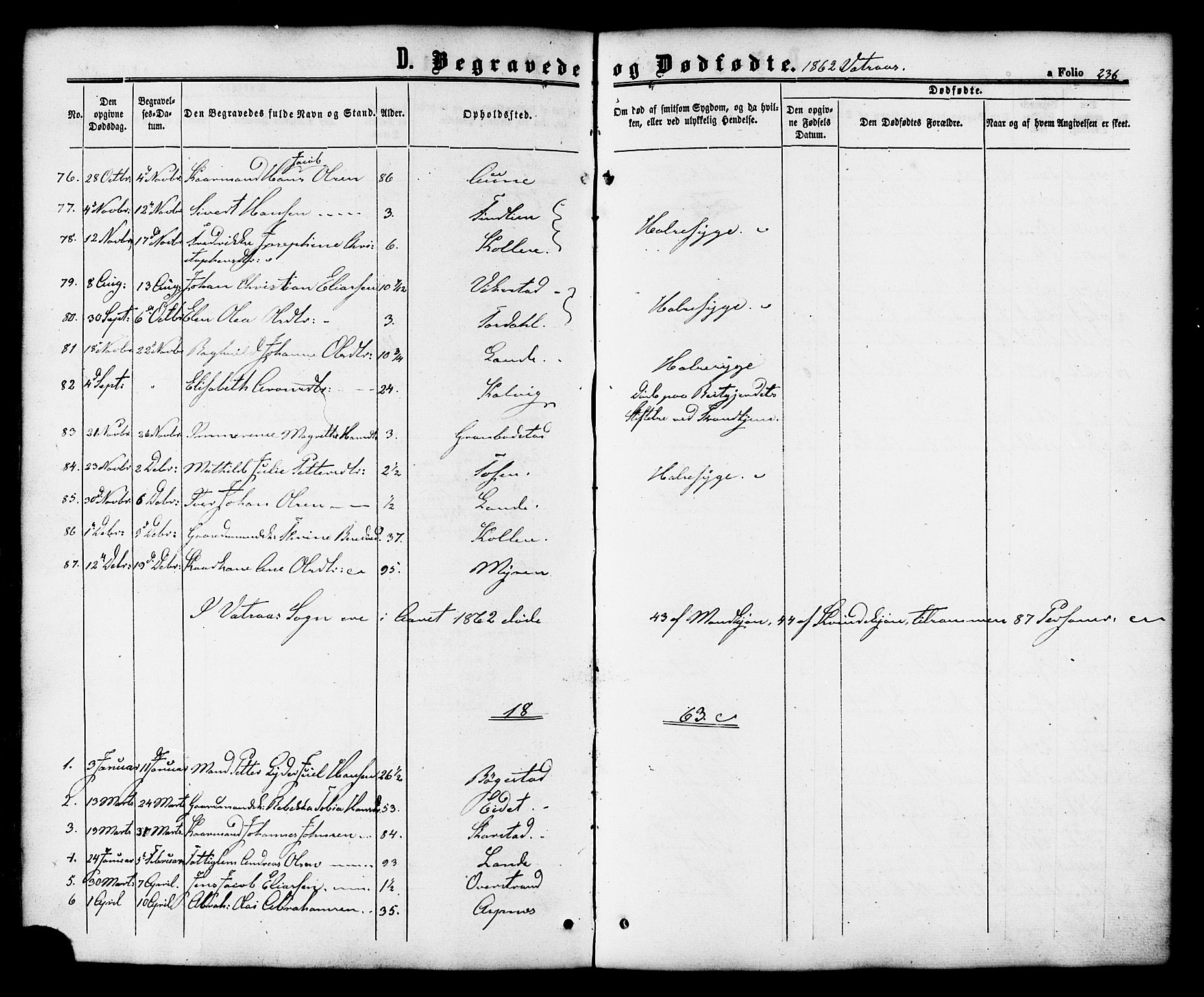Ministerialprotokoller, klokkerbøker og fødselsregistre - Nordland, SAT/A-1459/810/L0146: Parish register (official) no. 810A08 /1, 1862-1874, p. 236