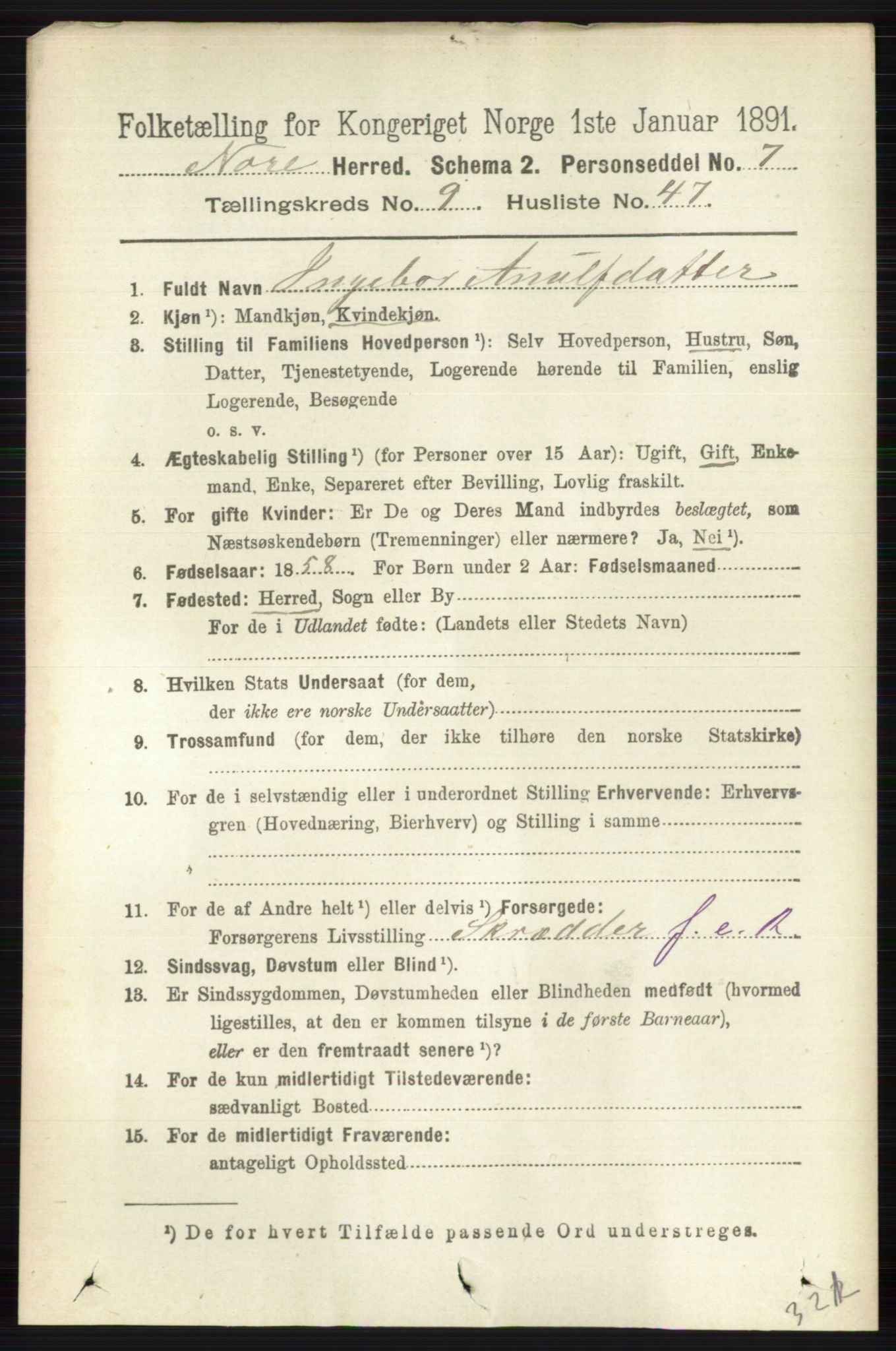 RA, 1891 census for 0633 Nore, 1891, p. 3484