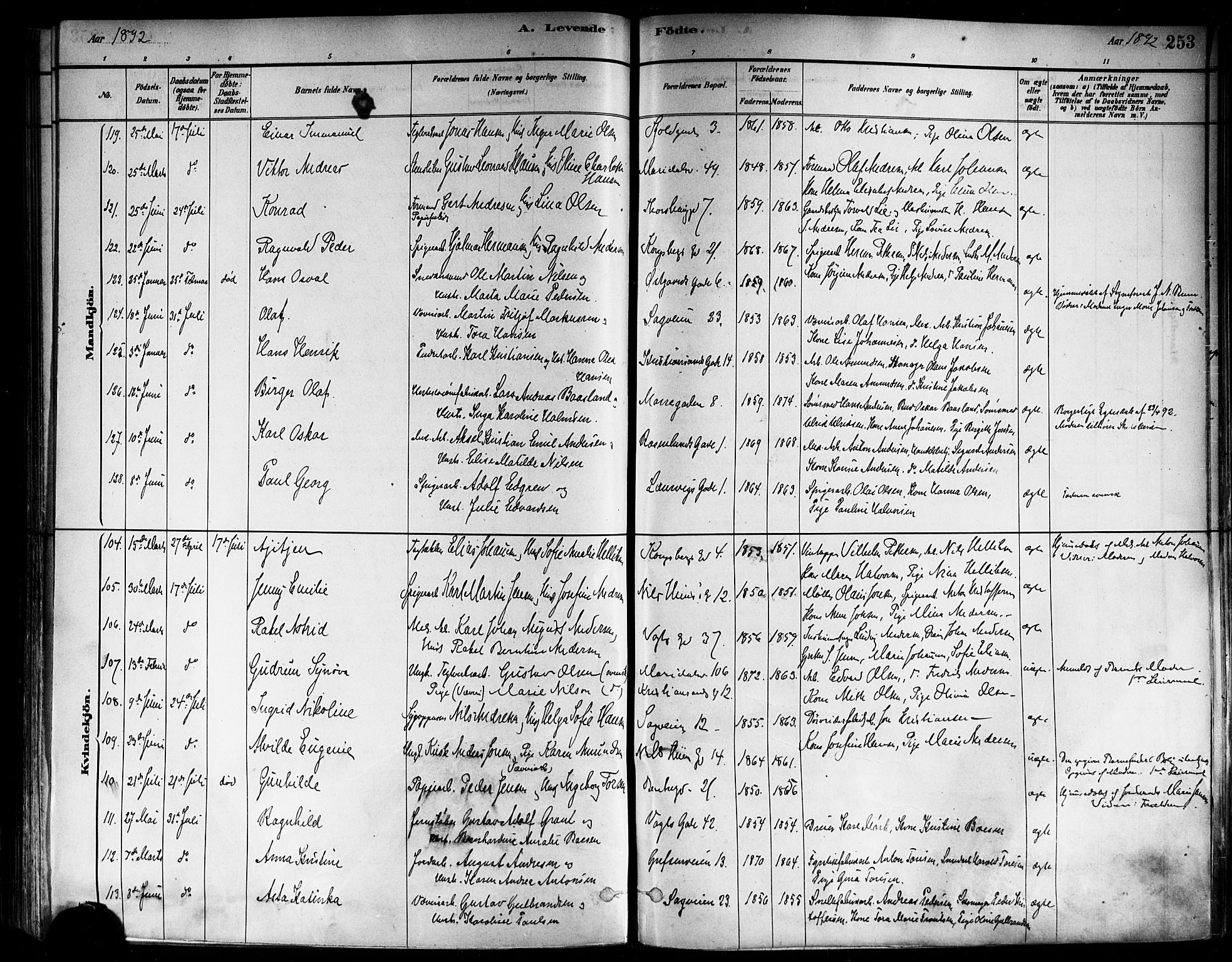 Sagene prestekontor Kirkebøker, SAO/A-10796/F/L0001: Parish register (official) no. 1, 1880-1893, p. 253