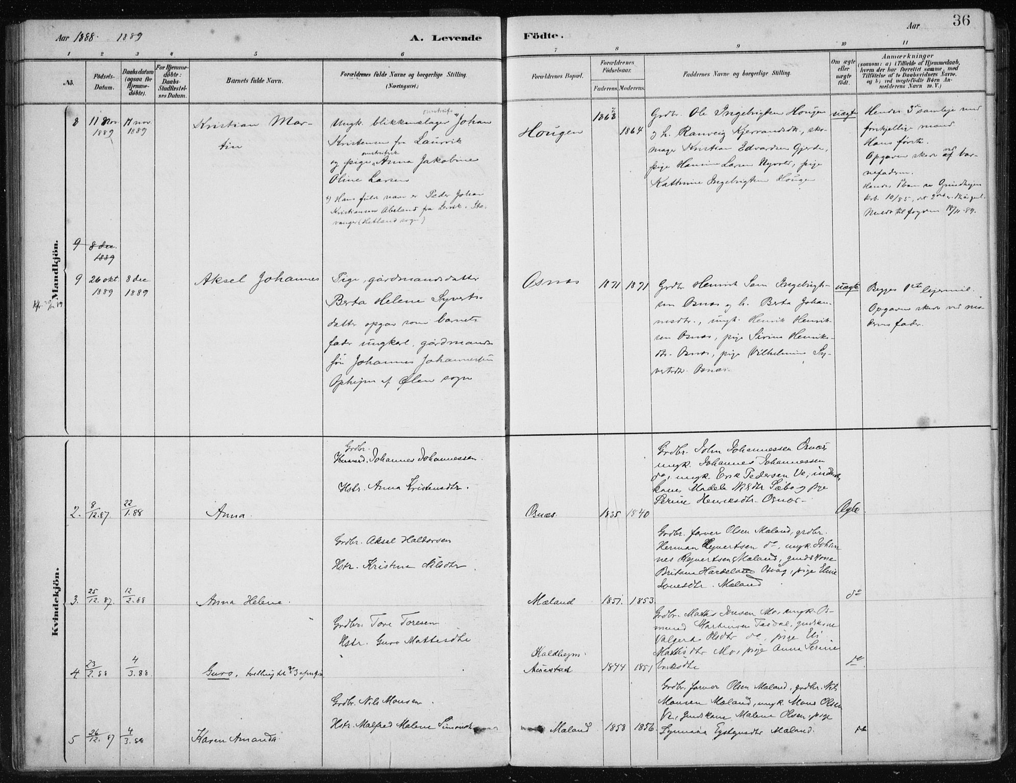 Etne sokneprestembete, SAB/A-75001/H/Haa: Parish register (official) no. C  1, 1879-1919, p. 36