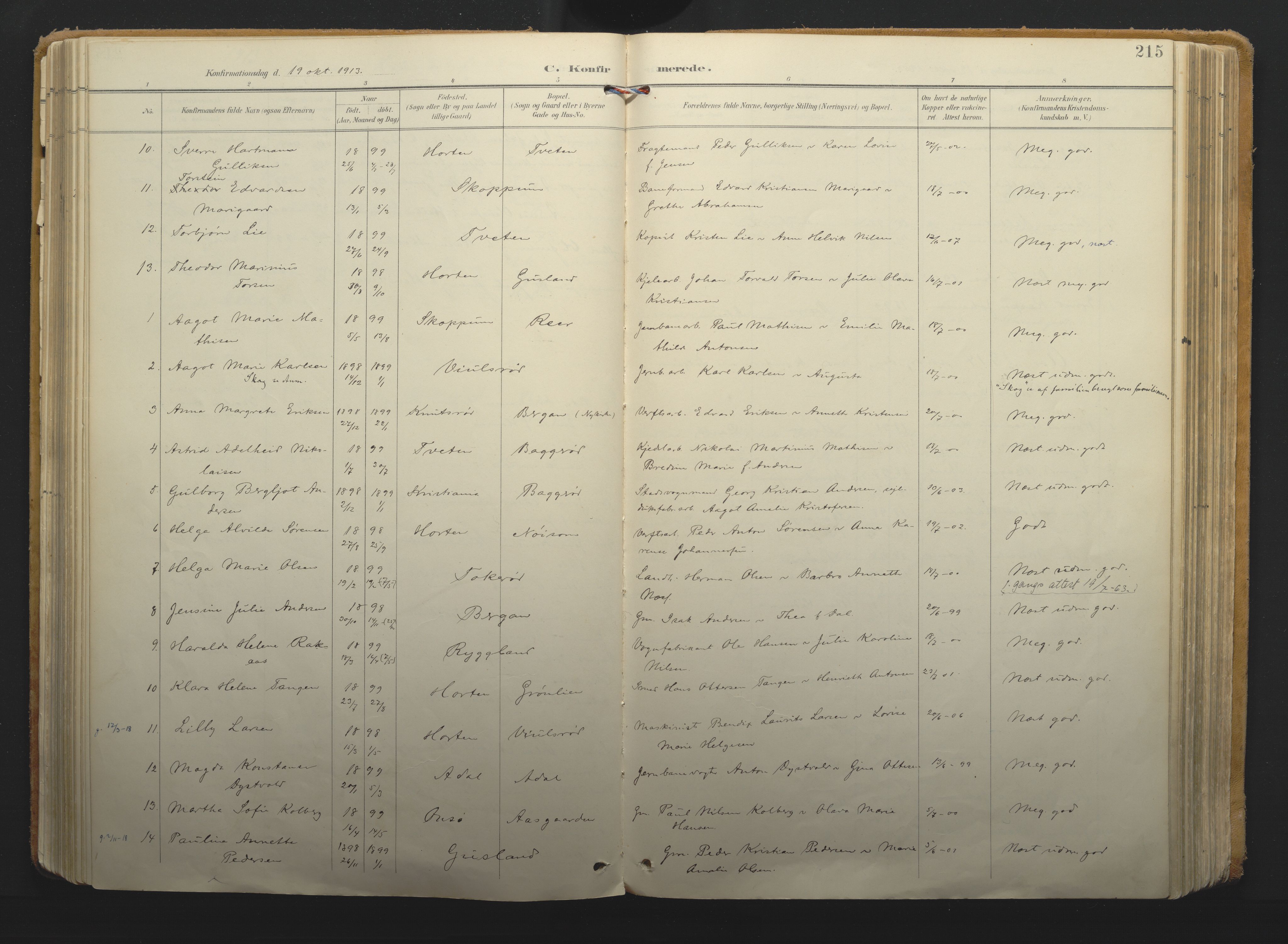 Borre kirkebøker, AV/SAKO-A-338/F/Fa/L0011: Parish register (official) no. I 11, 1897-1921, p. 215