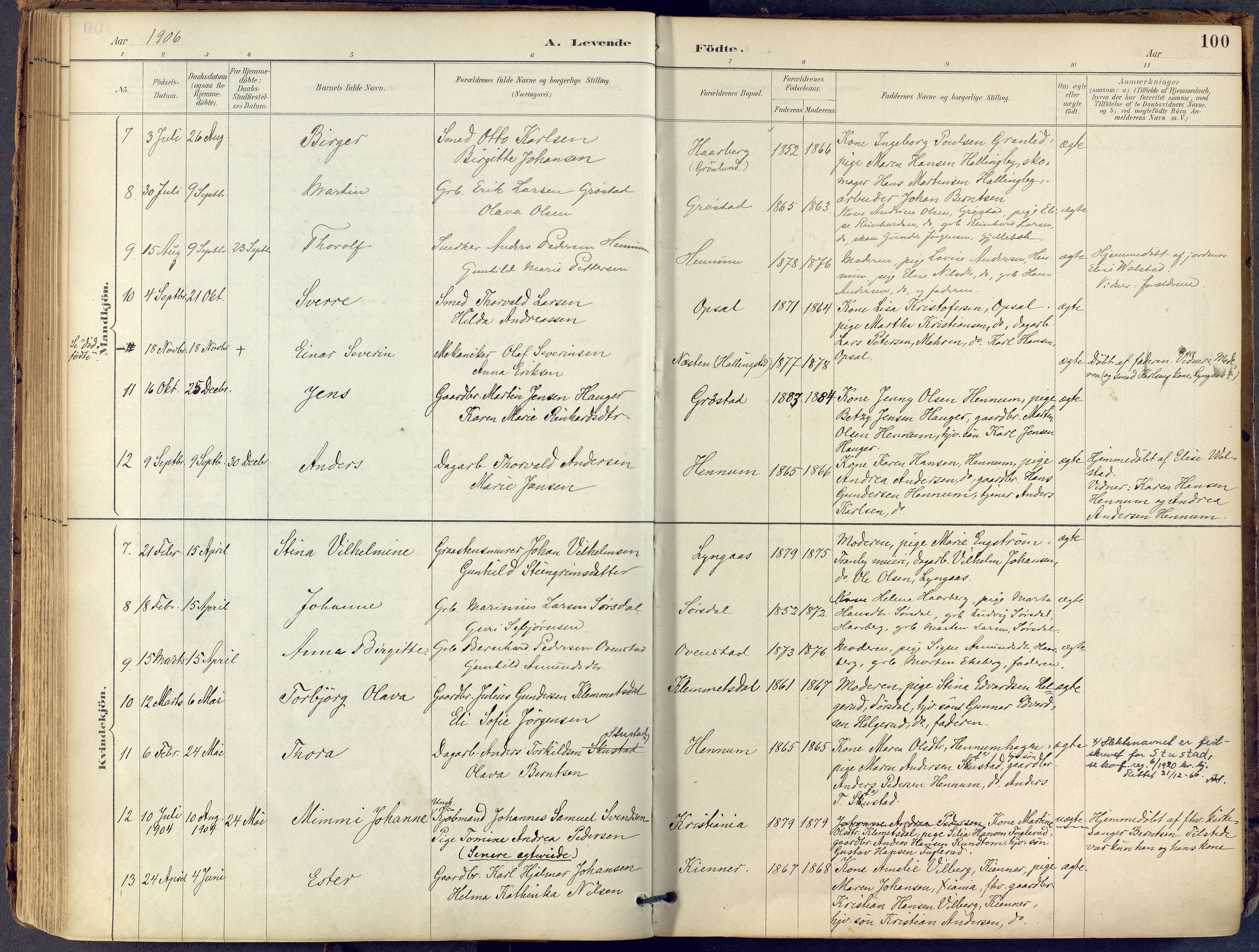 Lier kirkebøker, AV/SAKO-A-230/F/Fb/L0001: Parish register (official) no. II 1, 1883-1910, p. 100