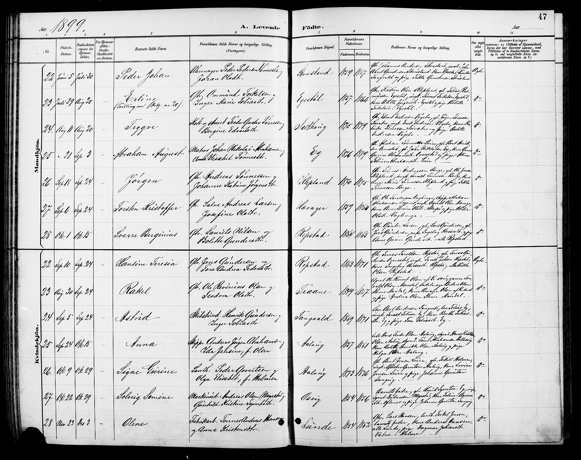 Søgne sokneprestkontor, AV/SAK-1111-0037/F/Fb/Fbb/L0006: Parish register (copy) no. B 6, 1892-1911, p. 47